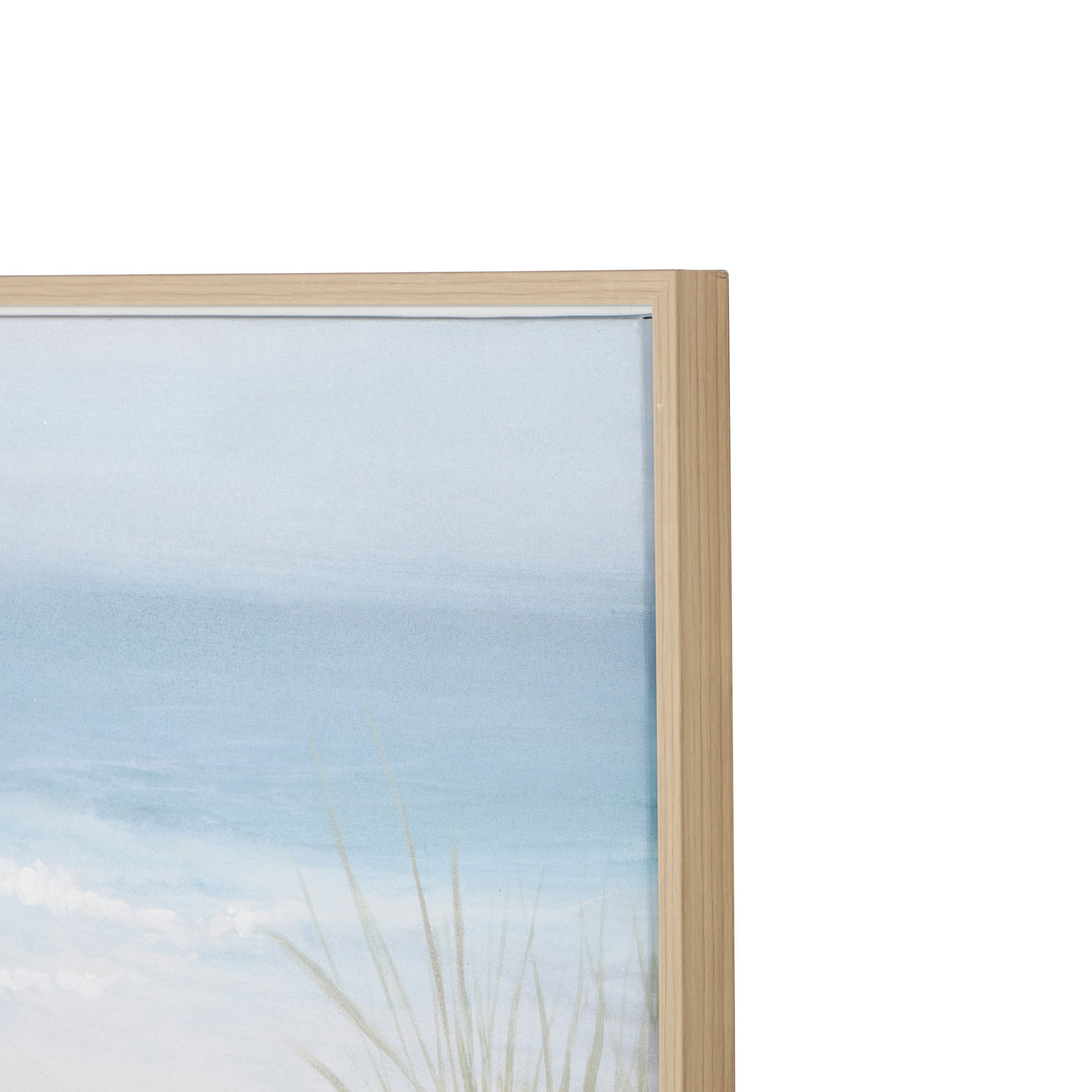 Bird Blue Canvas Living Room Framed Wall Art with Brown Wood Frame