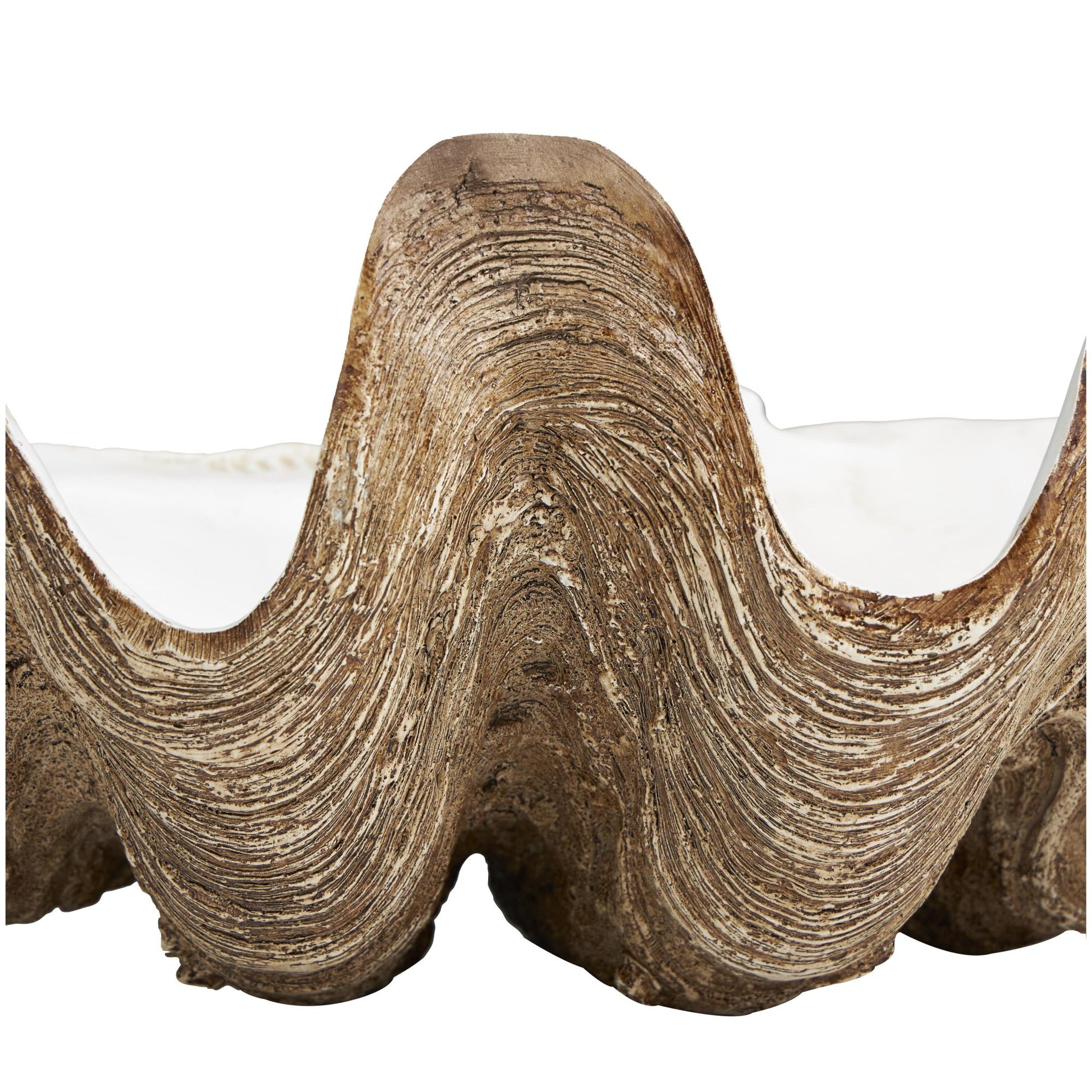 Shell Brown Polystone Large Decorative Bowl with White Interior