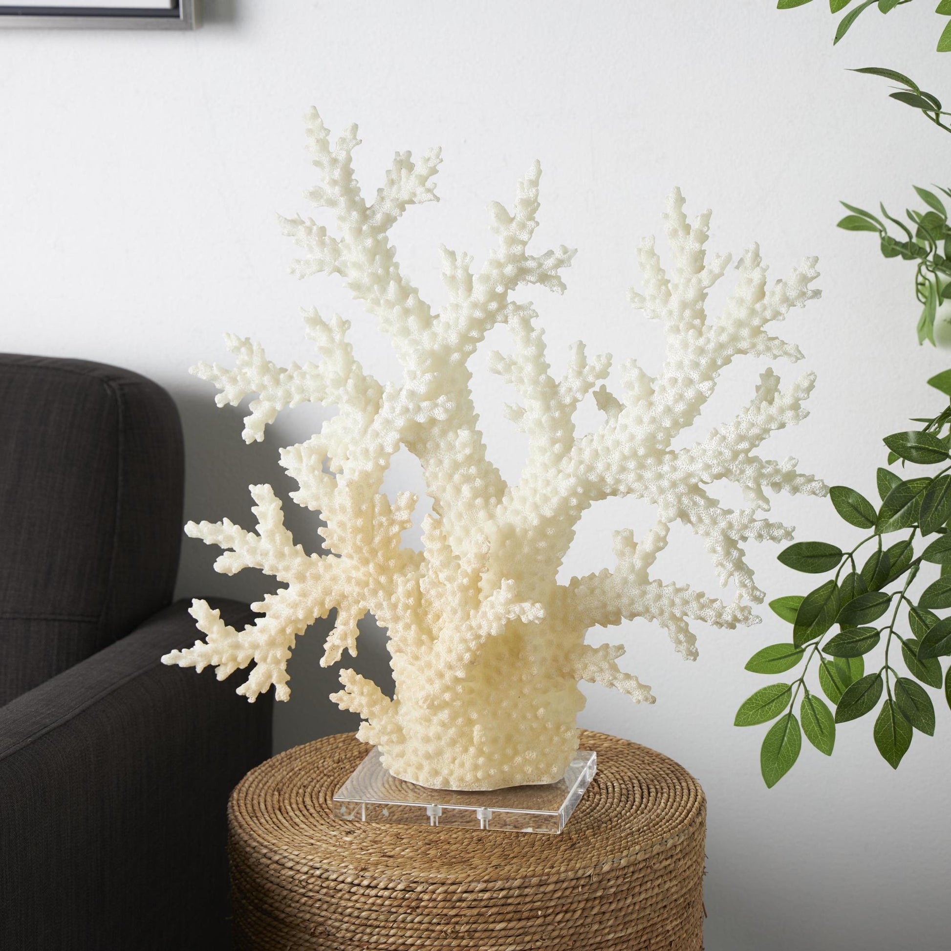 Coral Cream Polystone Decorative Sculpture with Clear Acrylic Base