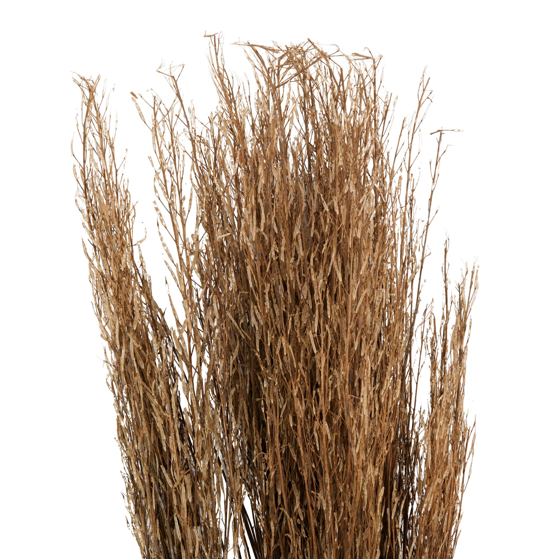 Dried Plant Tall Sticks Home Decor Natural Foliage with Grass 10" x 10" x 45"