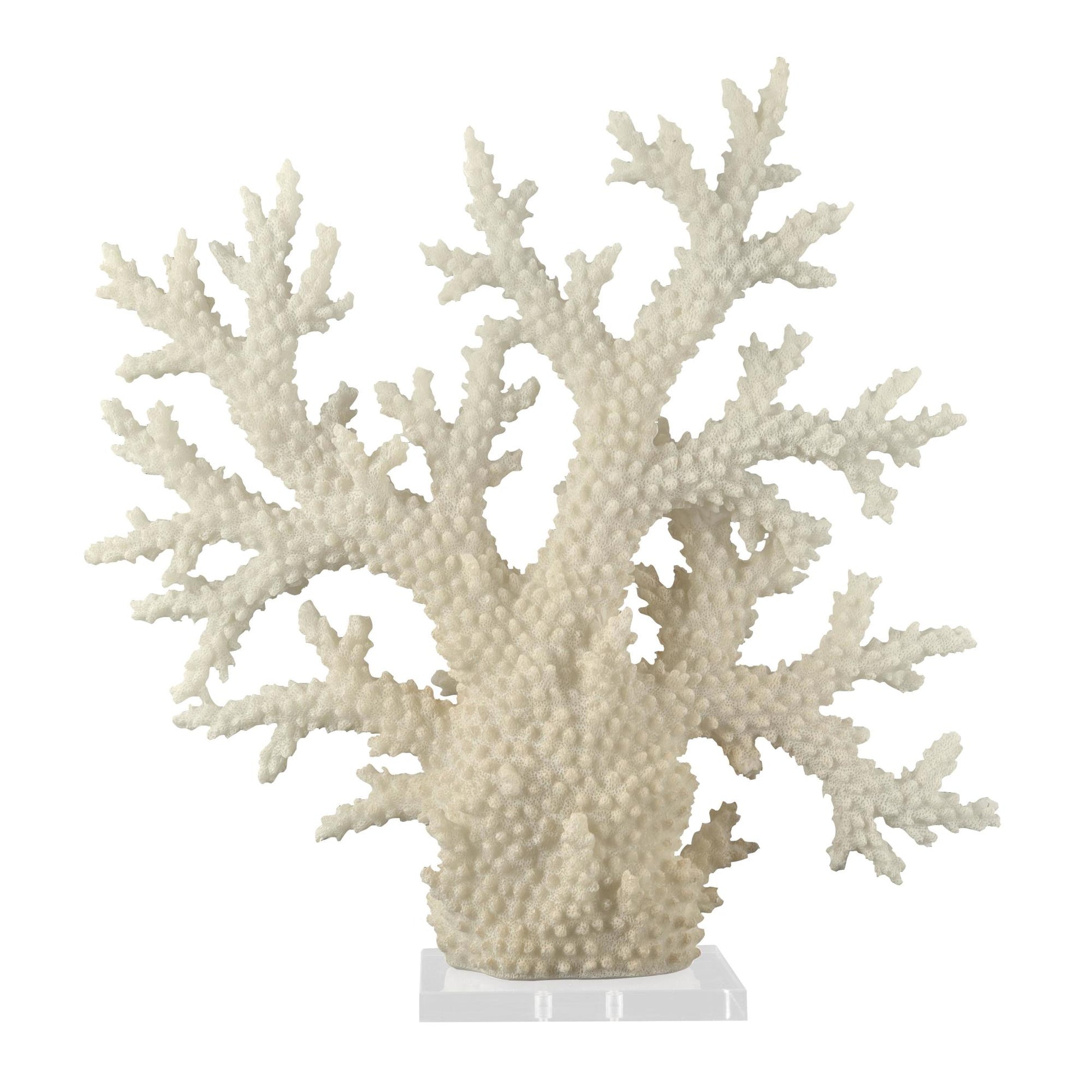 Coral Cream Polystone Decorative Sculpture with Clear Acrylic Base