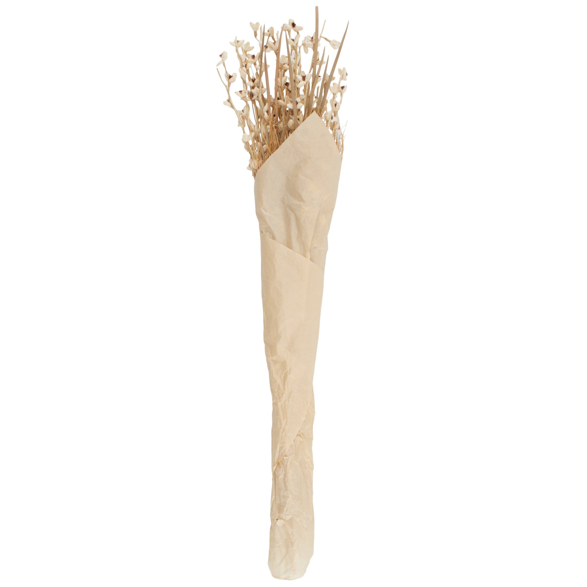 Dried Plant Tall Floral Bouquet Home Decor Natural Foliage with Brown Stems