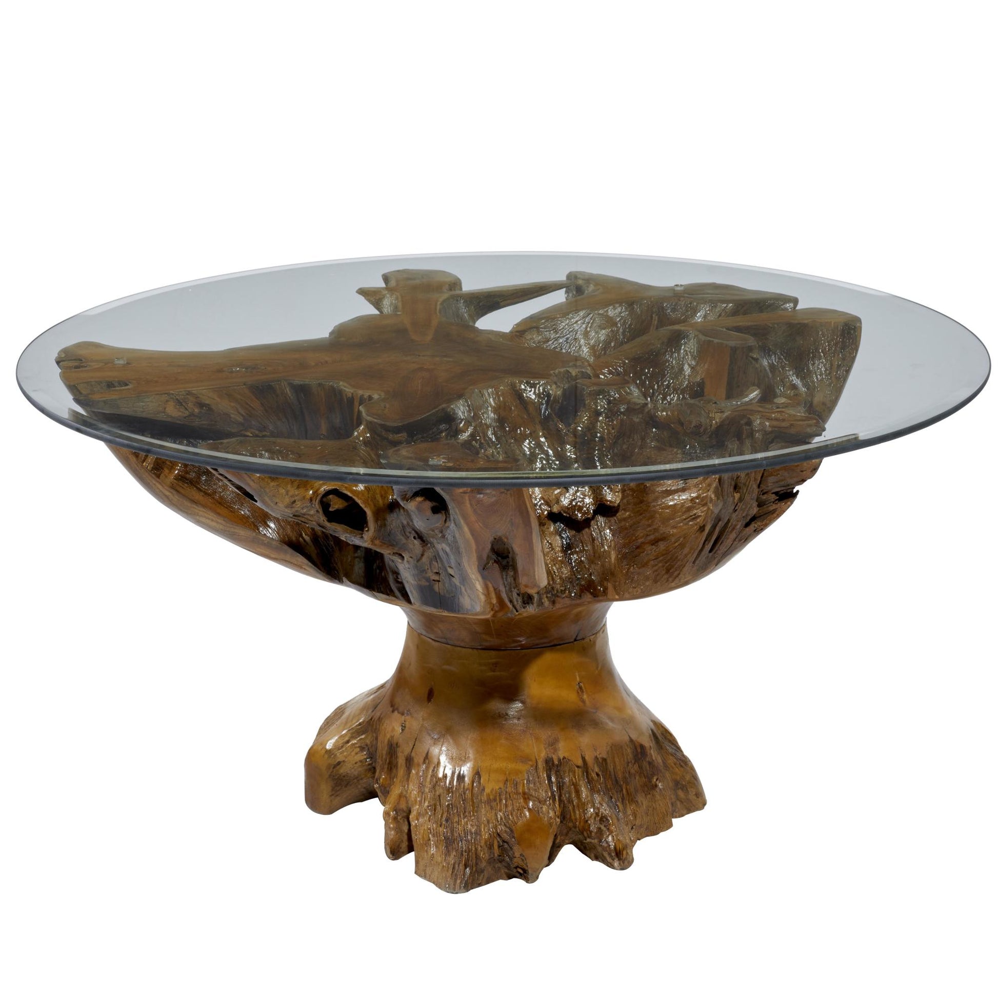 Brown Teak Wood Handmade Live Edge Tree Stump Living Room Coffee Table with Clear Glass Top