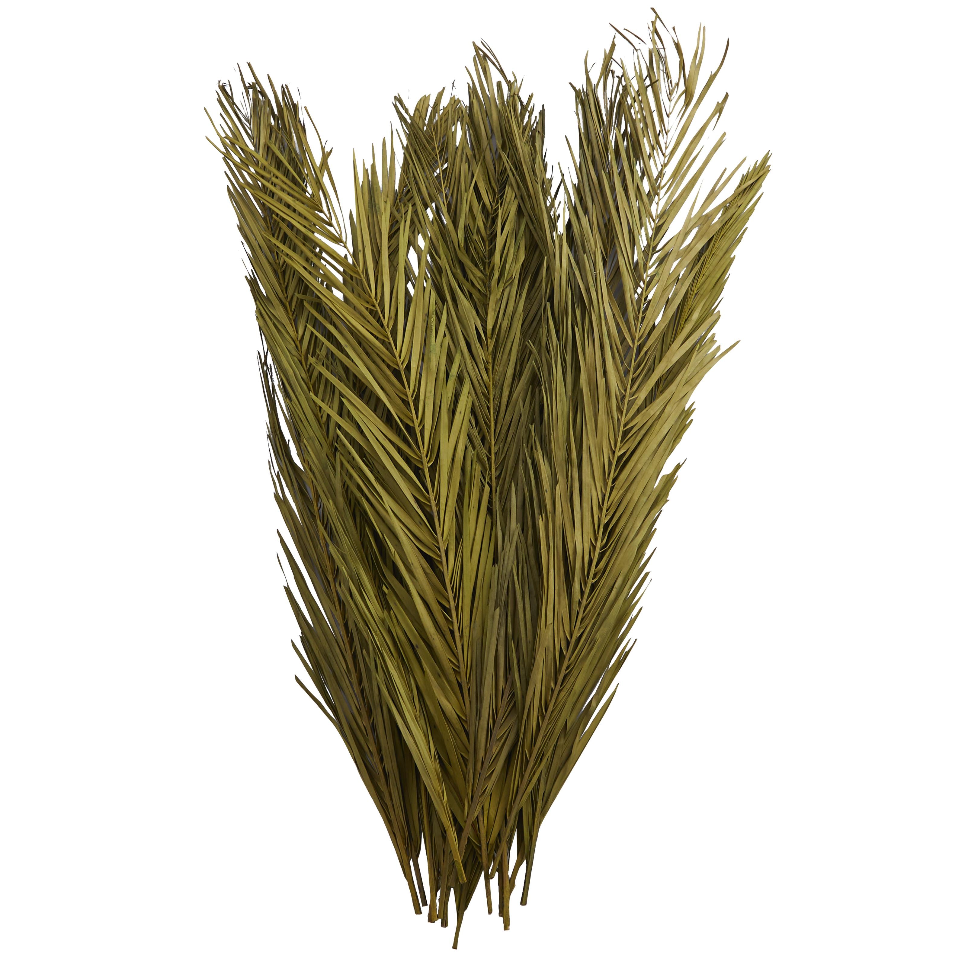 Palm Leaf Dried Plant Tall Home Decor Natural Foliage with Grass and Feather Inspired Stems