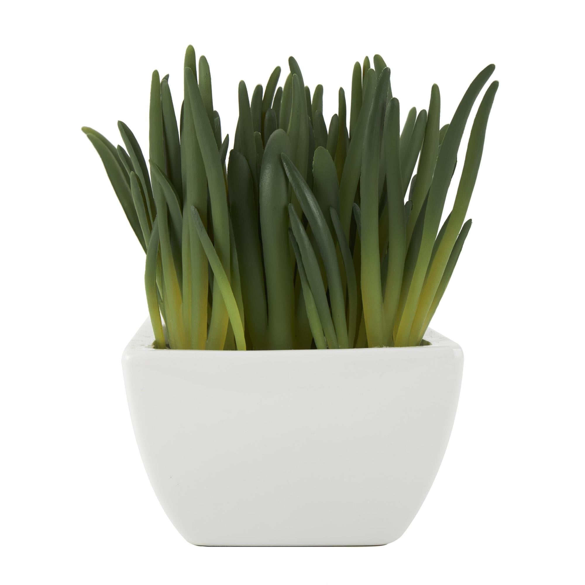 Succulent Green Faux Foliage Indoor Outdoor Artificial Plant with White Ceramic Pot