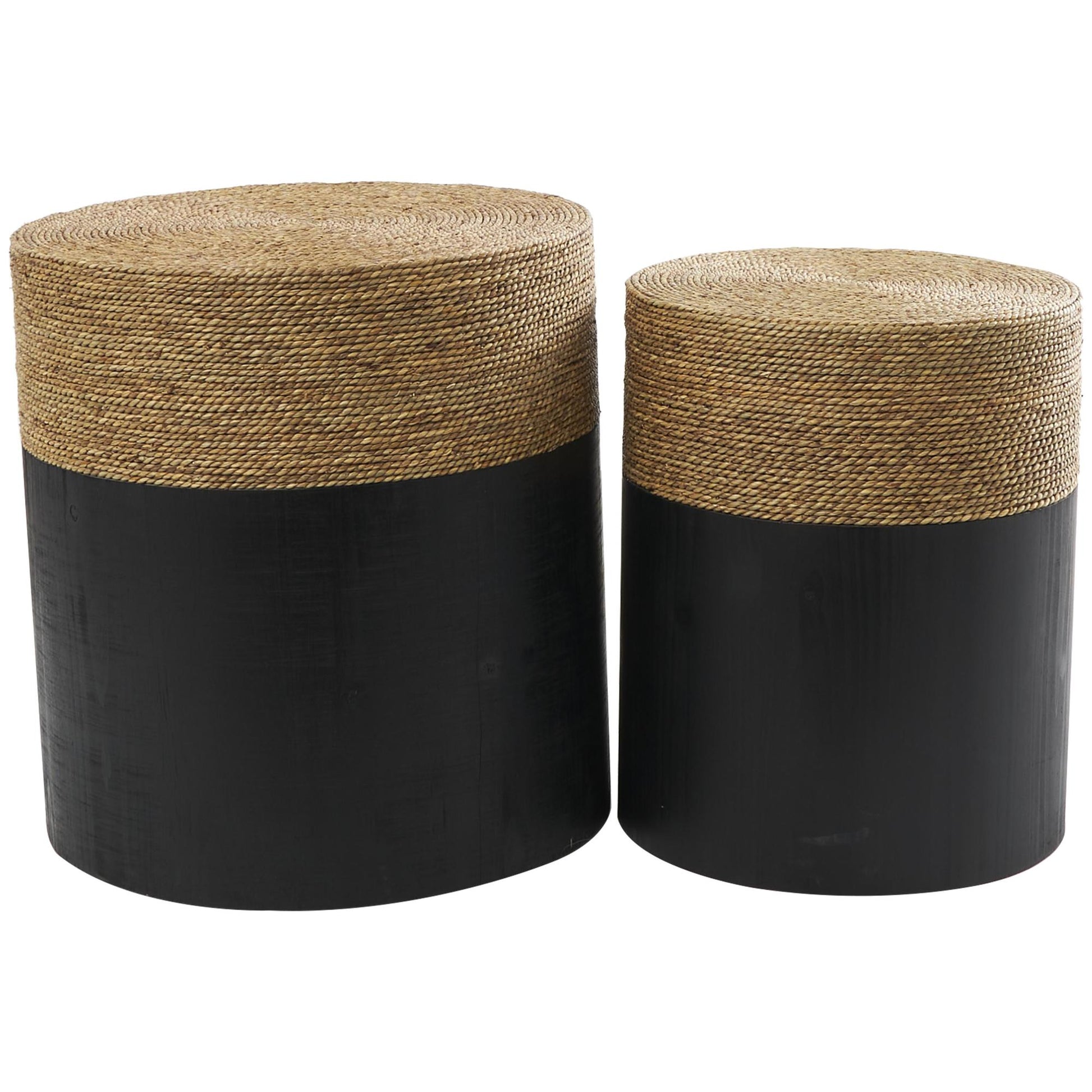 Set of 2 Black Wood Handmade Color block Wrapped Side End Accent Table with Dried Plant Tabletops
