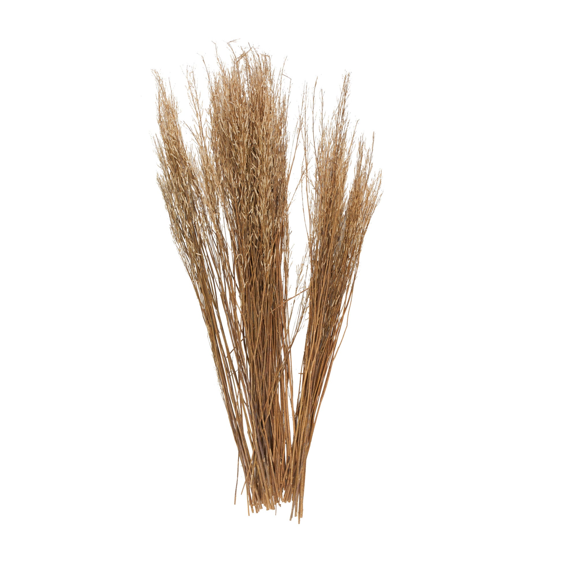Dried Plant Tall Sticks Home Decor Natural Foliage with Grass 10" x 10" x 45"