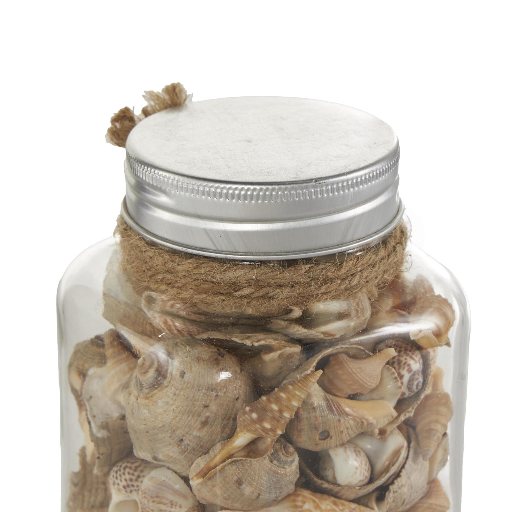 Set of 3 Clear Glass Decorative Orbs & Vase Filler with Seashells and Jute Rope Accents