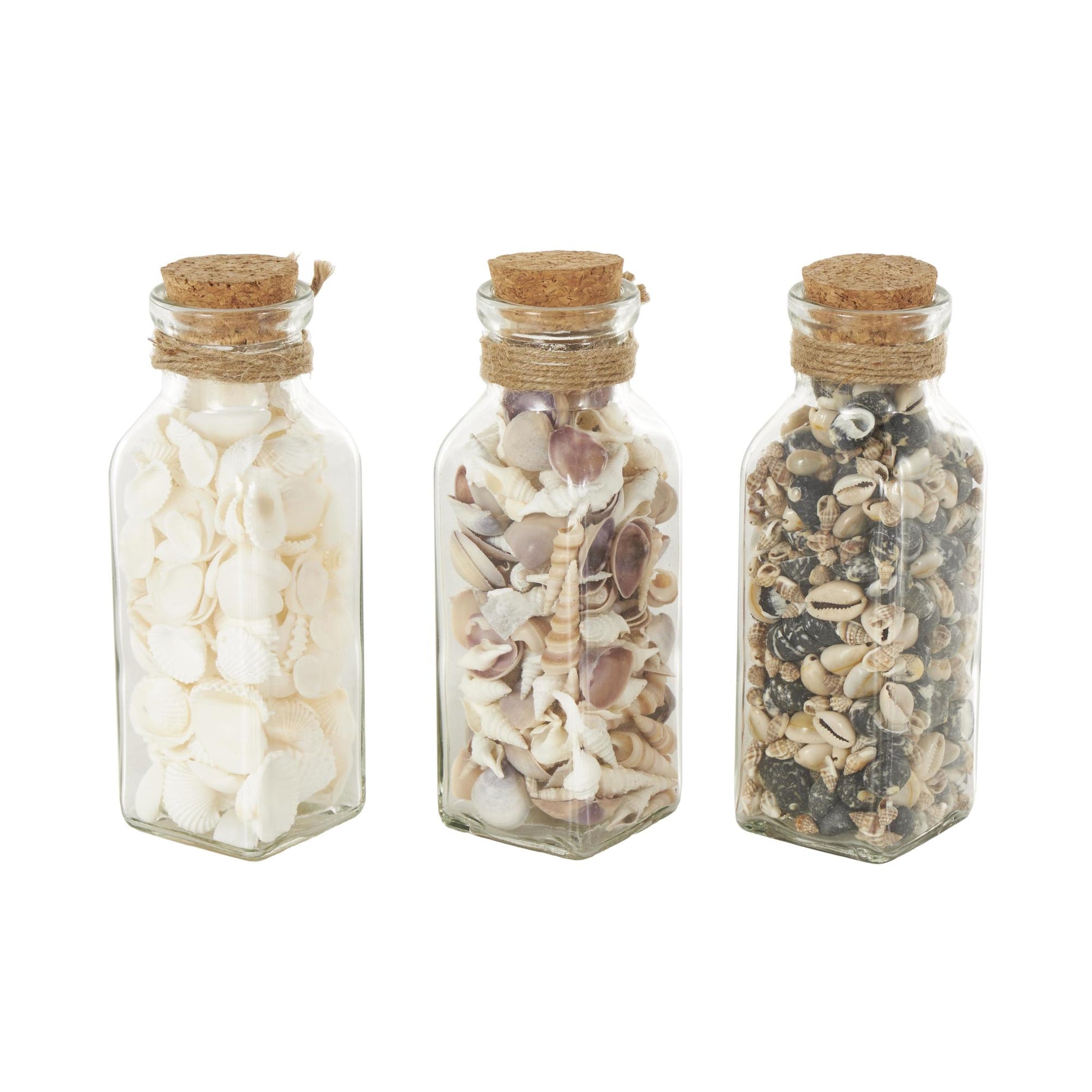 Set of 3 Clear Glass Decorative Orbs & Vase Filler with Seashells and Jute Rope Accents