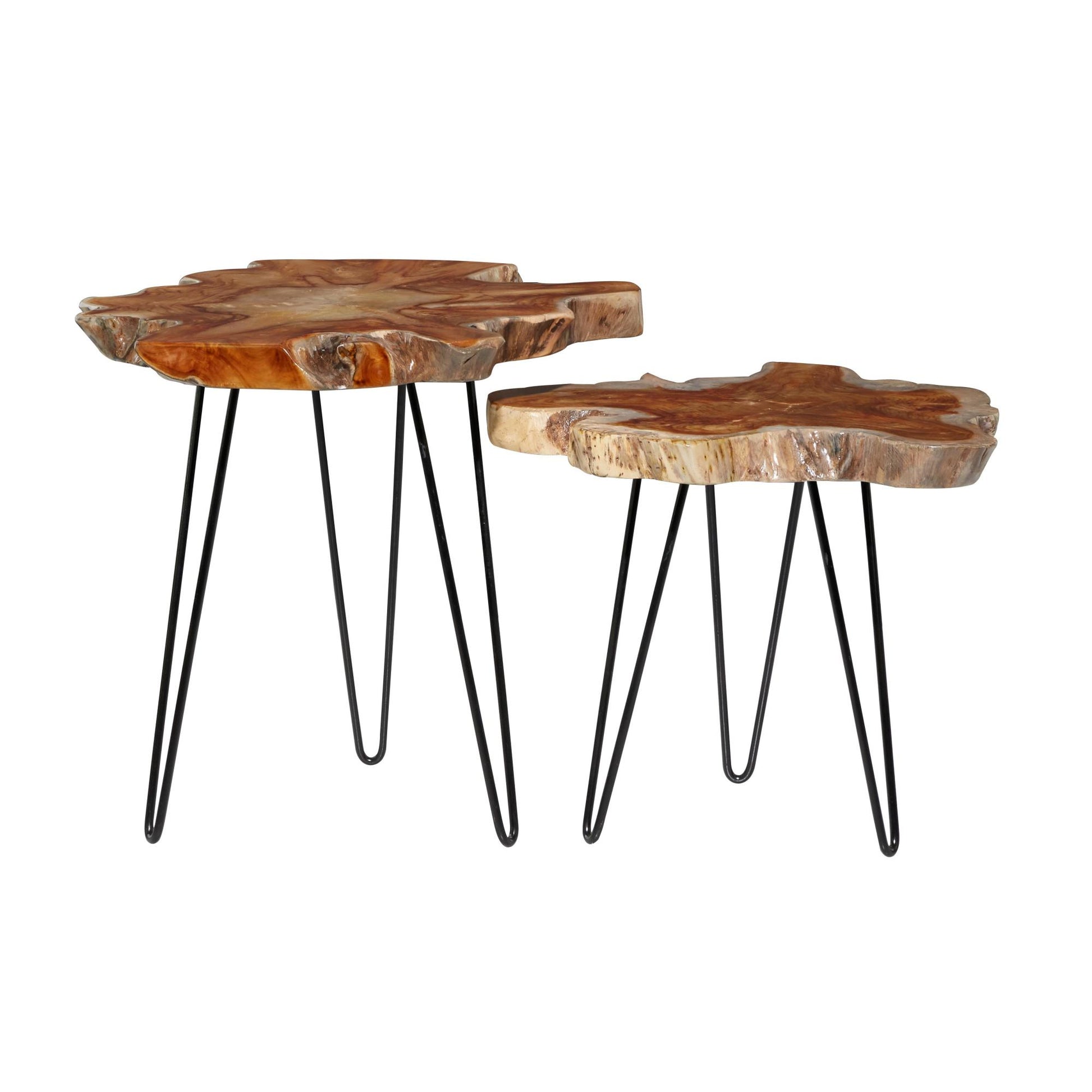 Set of 2 Brown Teak Wood Live Edge Top Side End Accent Table with Black Metal Hairpin Legs