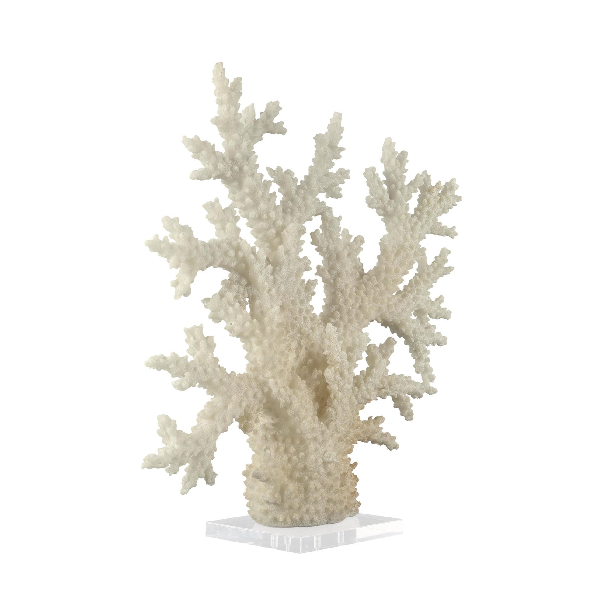 Coral Cream Polystone Decorative Sculpture with Clear Acrylic Base