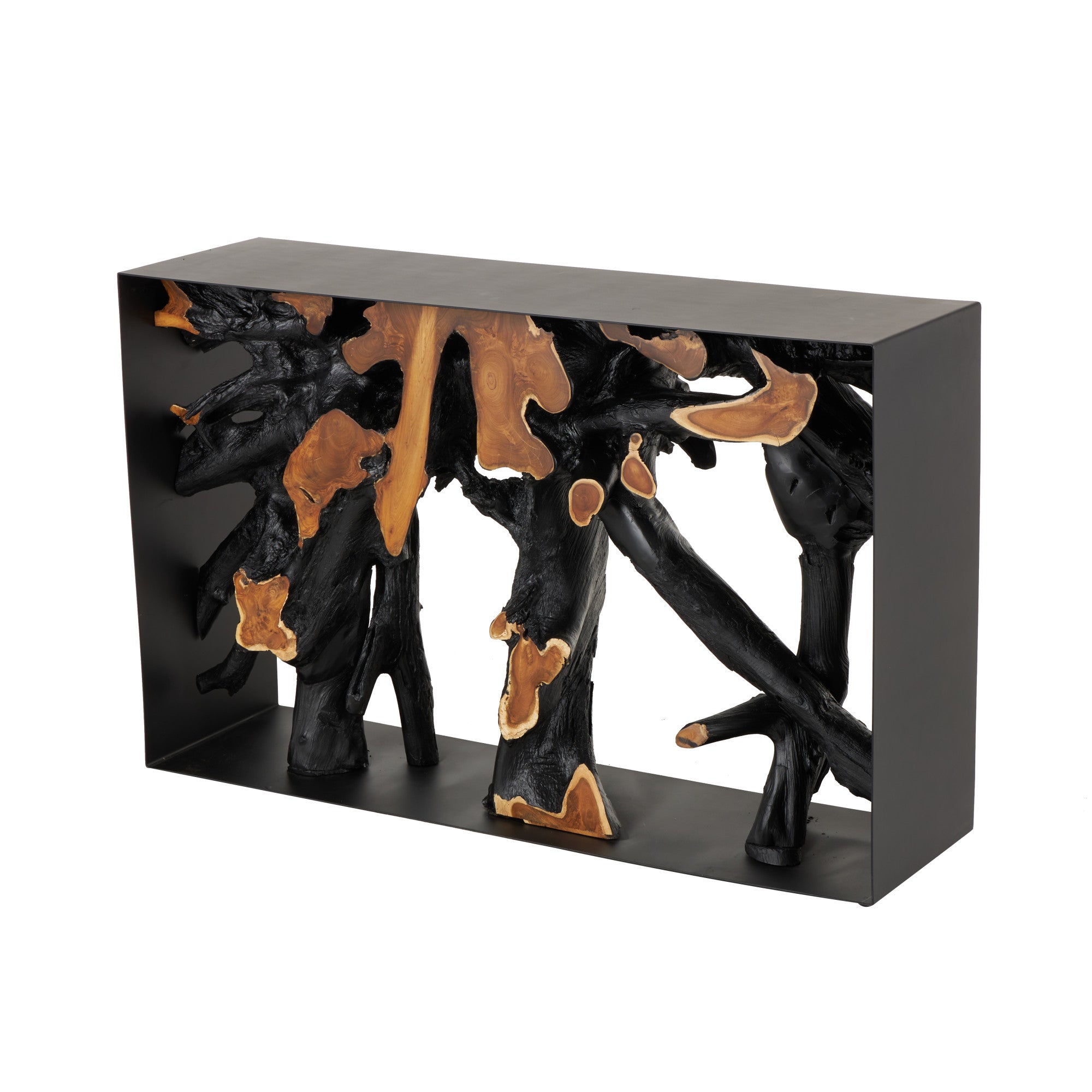 Black Teak Wood Handmade Live Edge Tree Trunk Living Room Console Table with Brown Accents and Metal Frame