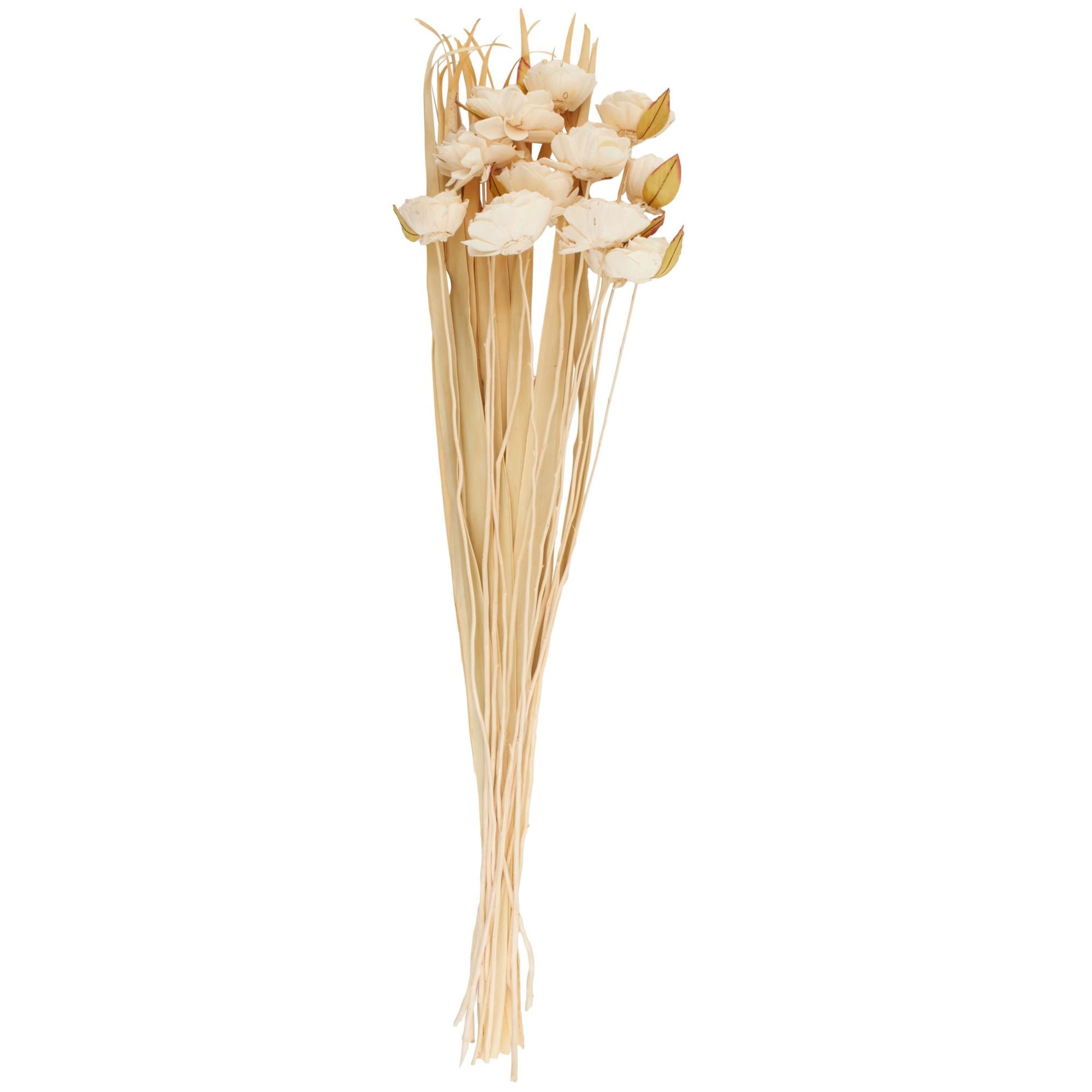Cream Dried Plant Tall Home Decor Natural Foliage with Flower Petals and Leaves