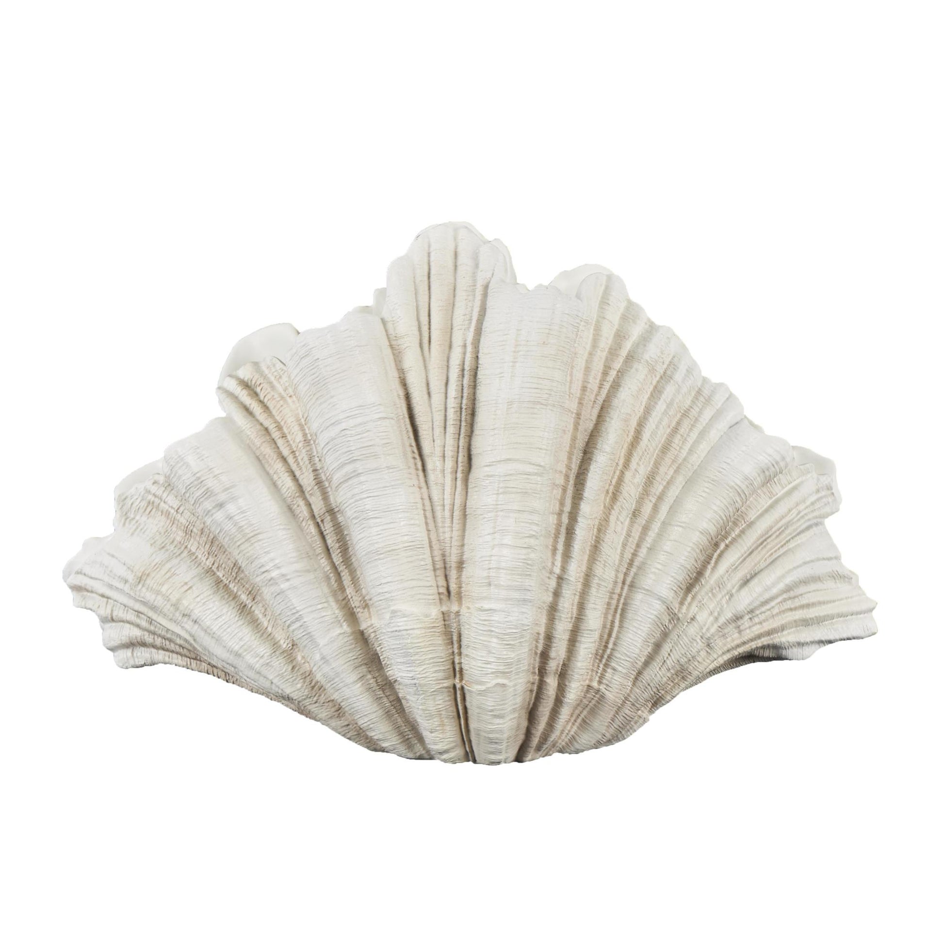 Shell Cream Resin Textured Decorative Sculpture
