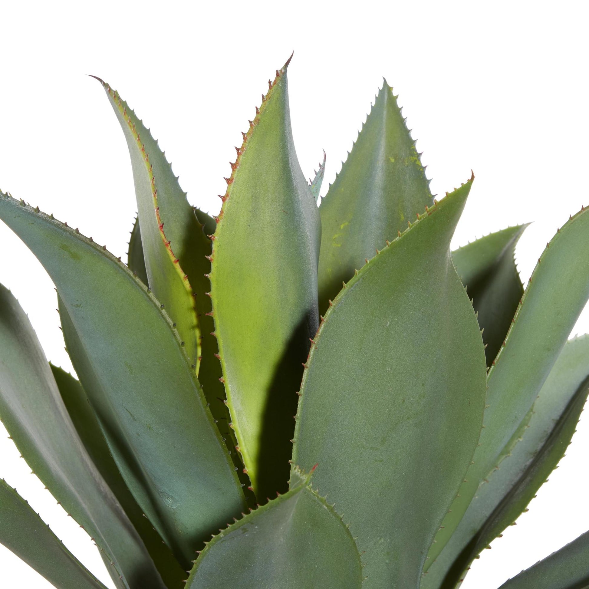 Dracaena Green Faux Foliage Indoor Outdoor Artificial Tree with Realistic Leaves and Black Plastic Pot