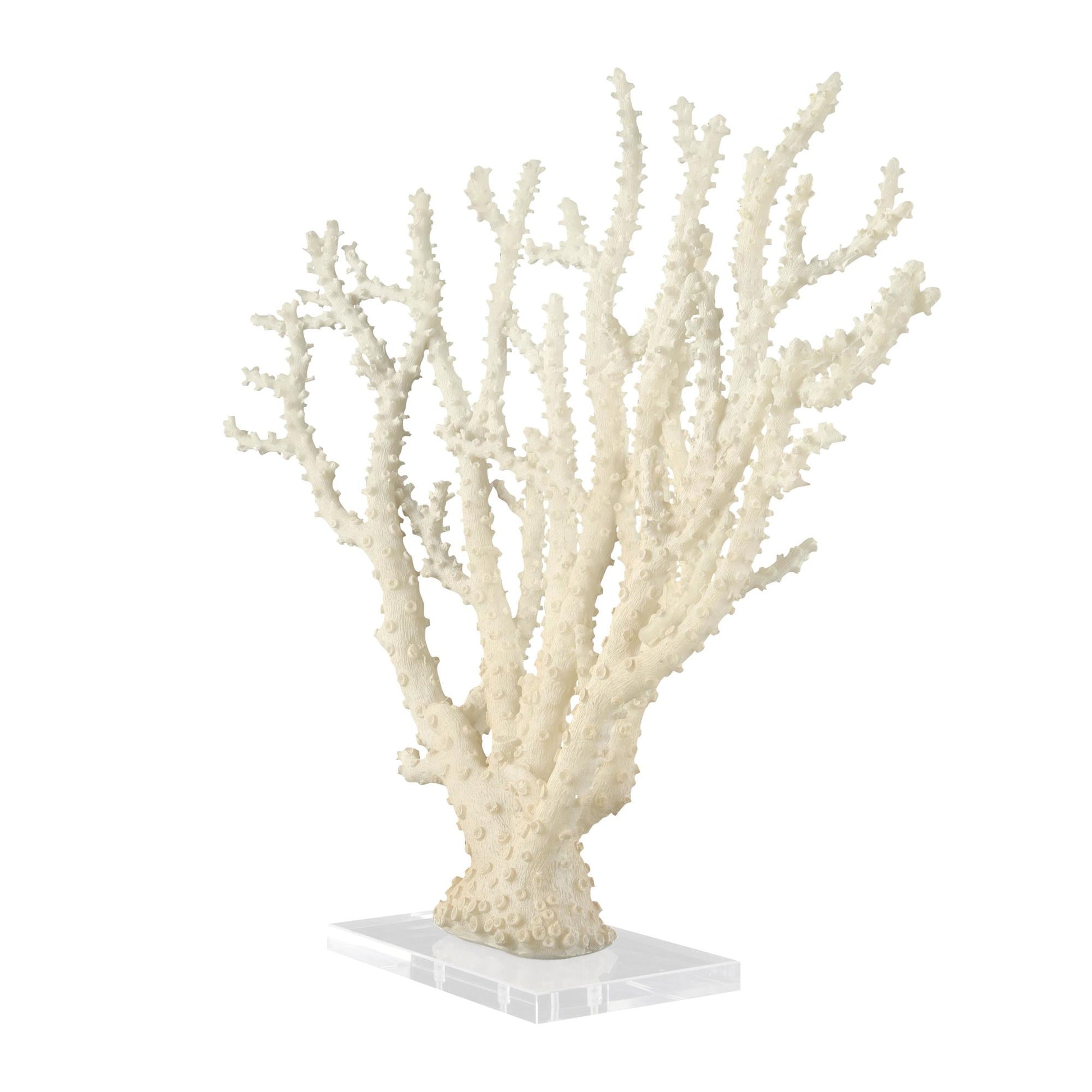 Coral Cream Polystone Decorative Sculpture with Clear Acrylic Base
