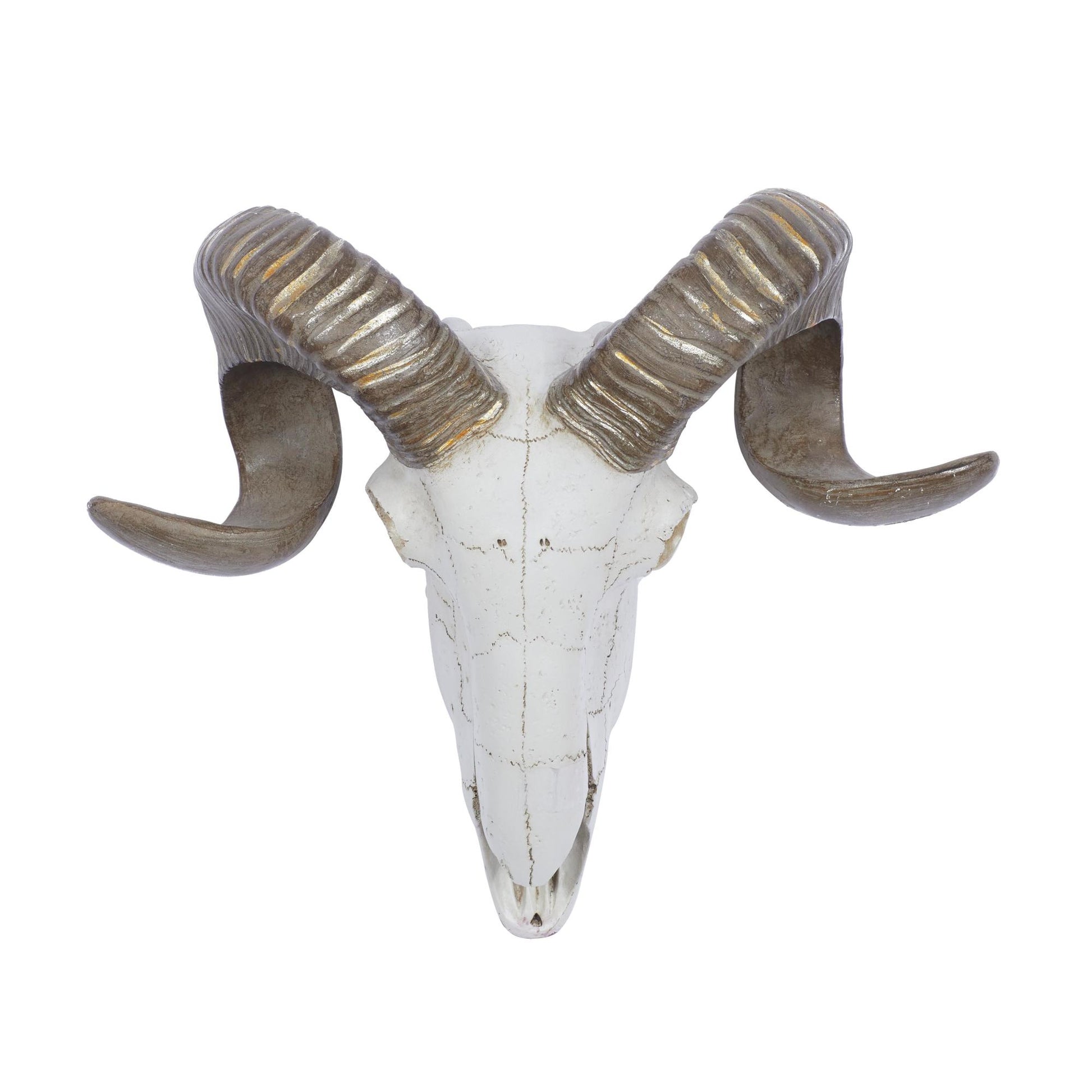 Sheep White Polystone Skull Home Wall Decor