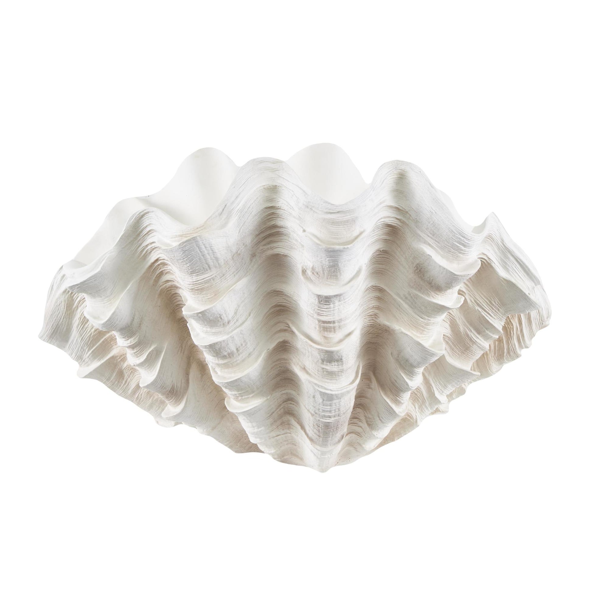Shell Cream Resin Textured Decorative Sculpture