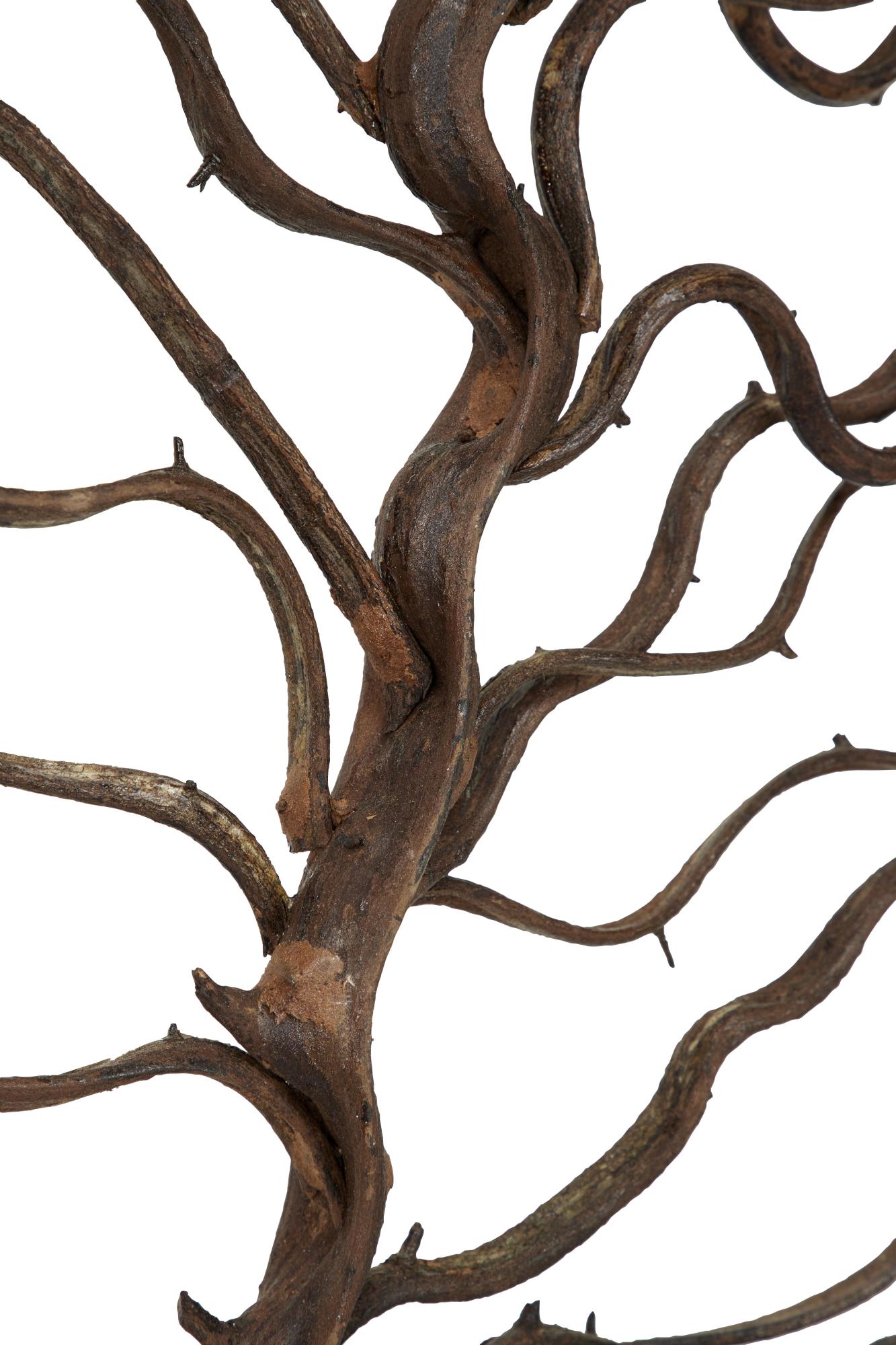 Tree Teak Wood Branch Home Wall Decor with Black Frame