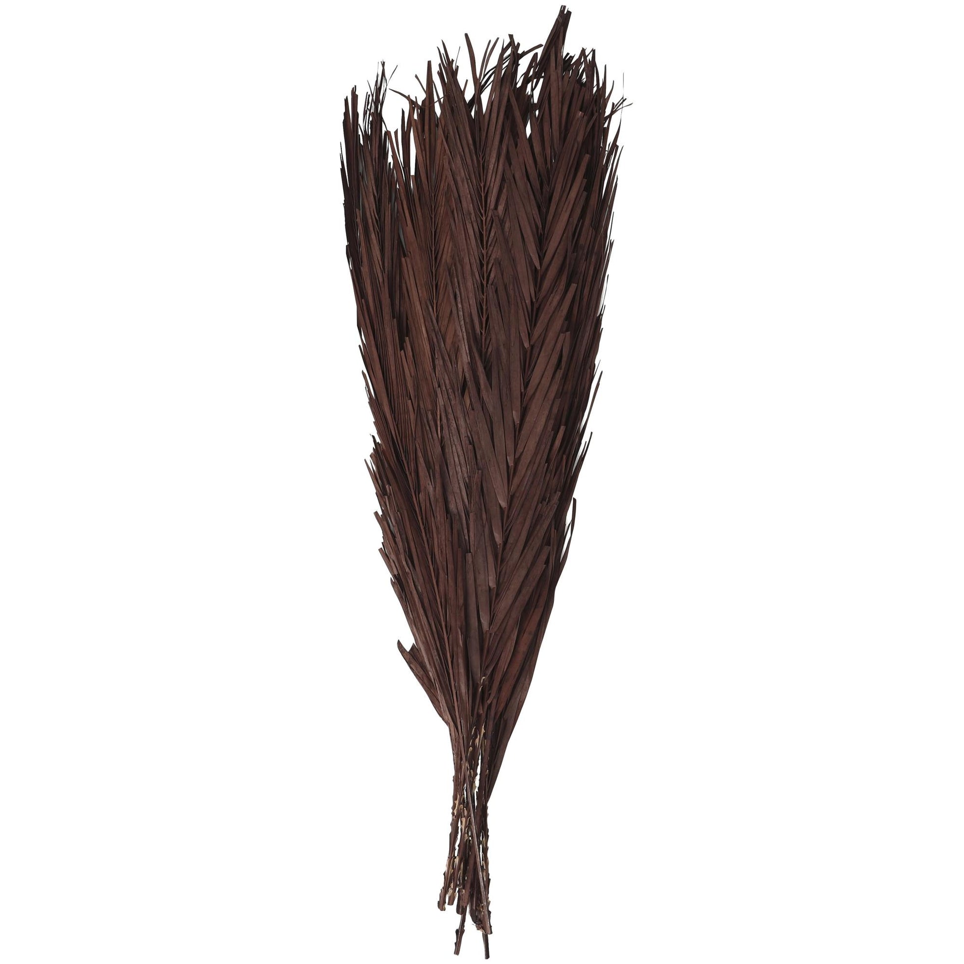 Palm Leaf Dried Plant Tall Home Decor Natural Foliage with Grass and Feather Inspired Stems