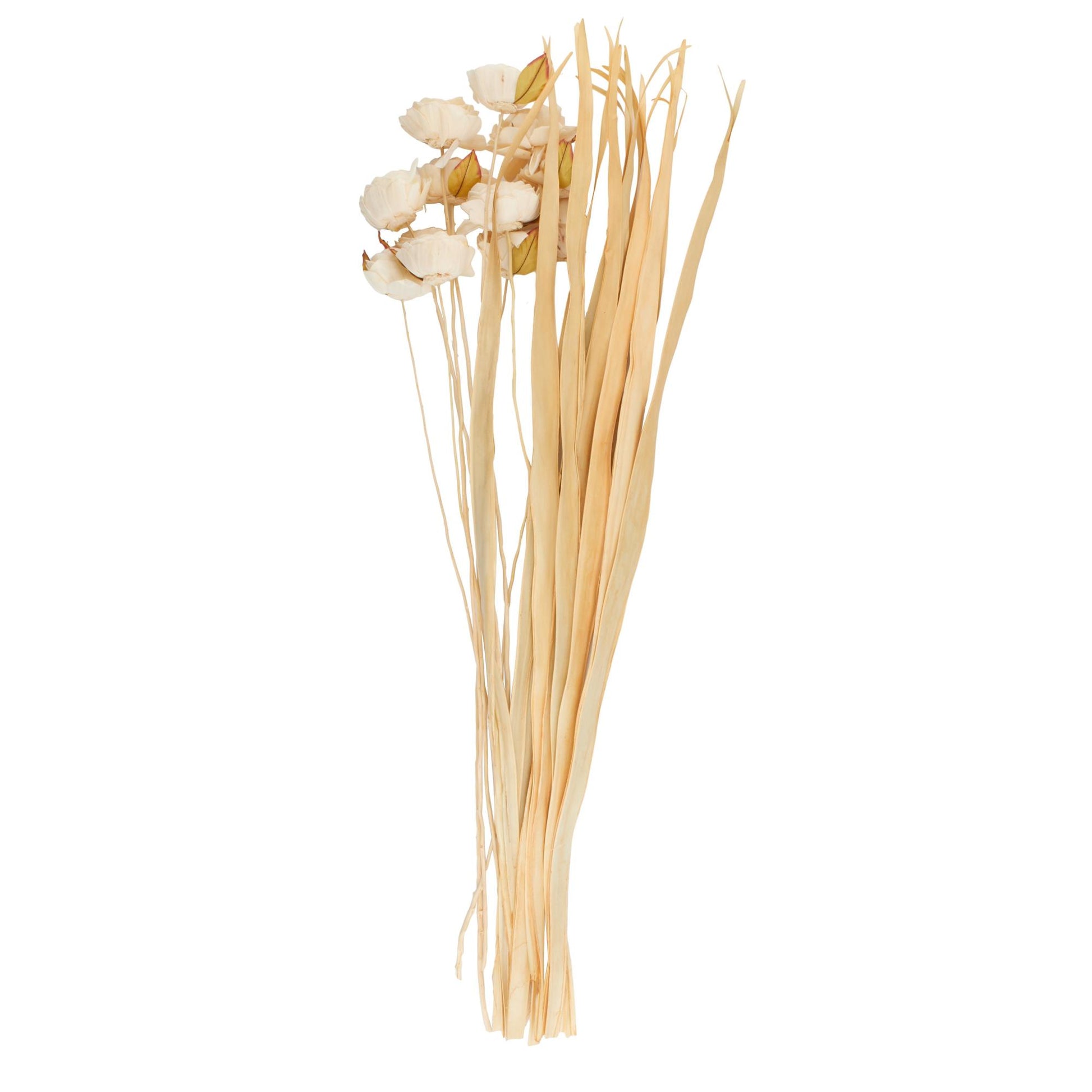 Cream Dried Plant Tall Home Decor Natural Foliage with Flower Petals and Leaves