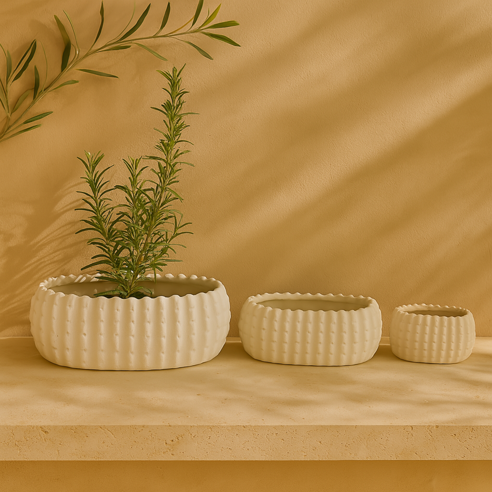 Set of 3 White Ceramic Indoor Outdoor Planter