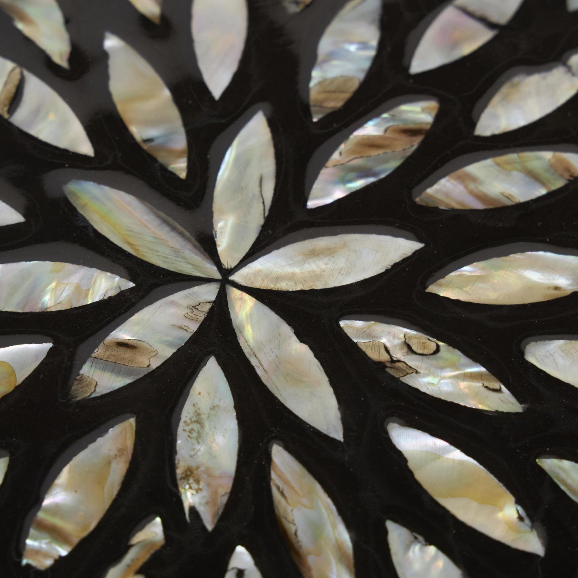 Set of 2 Fish Mother of Pearl Shell Decorative Box with Beige Accents Set of 2 12", 8"W