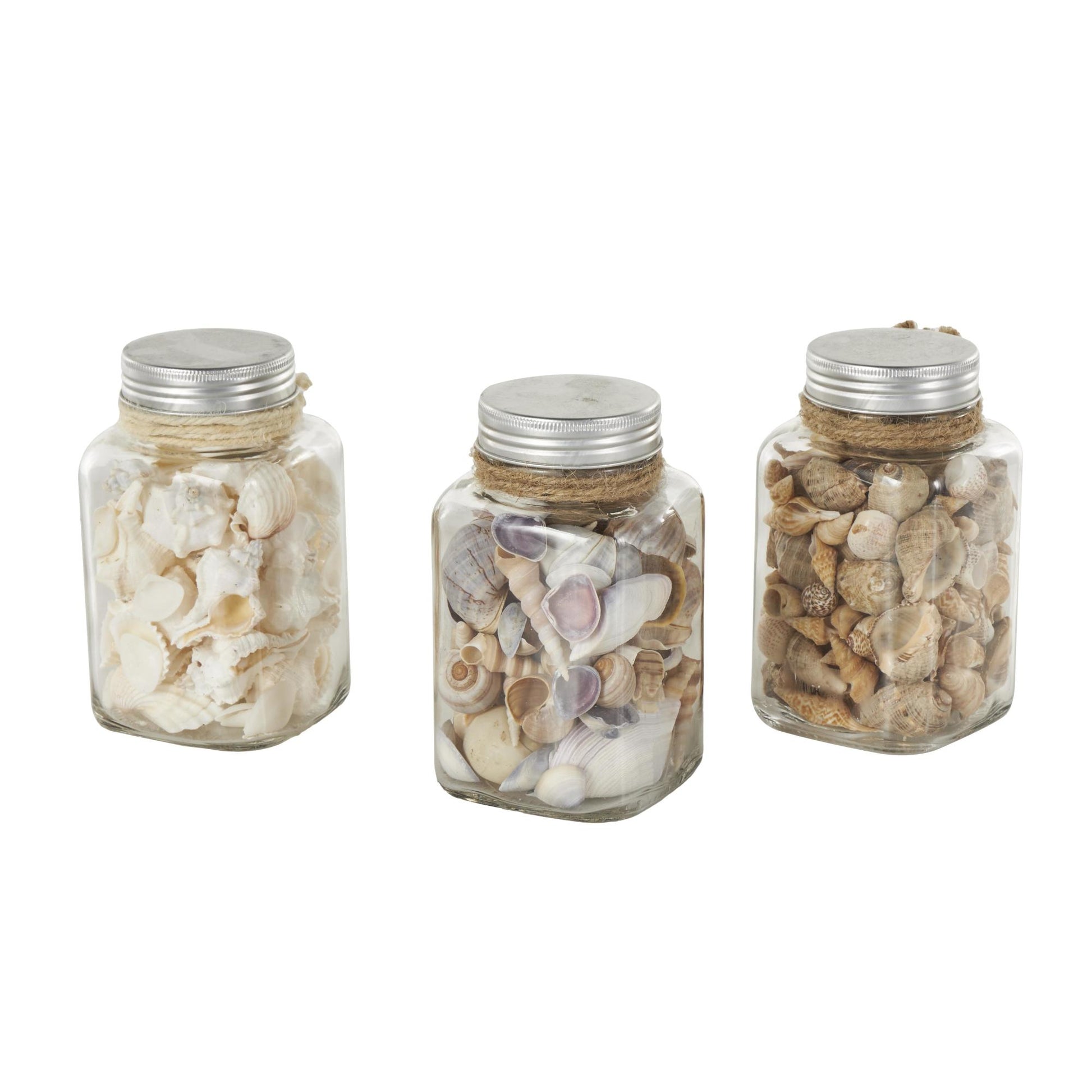 Set of 3 Clear Glass Decorative Orbs & Vase Filler with Seashells and Jute Rope Accents