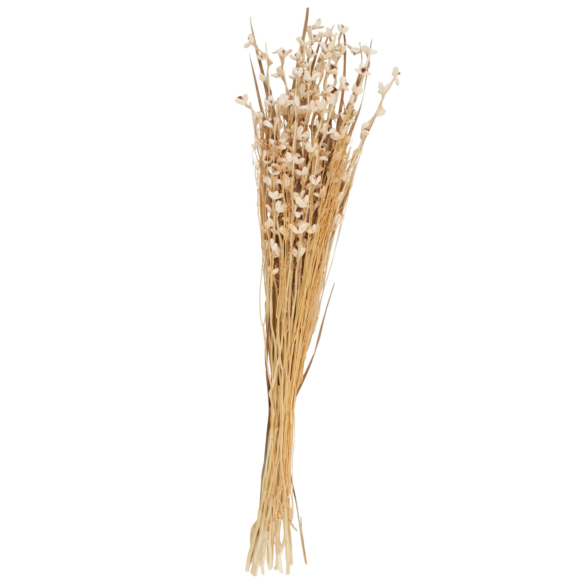 Dried Plant Tall Floral Bouquet Home Decor Natural Foliage with Brown Stems