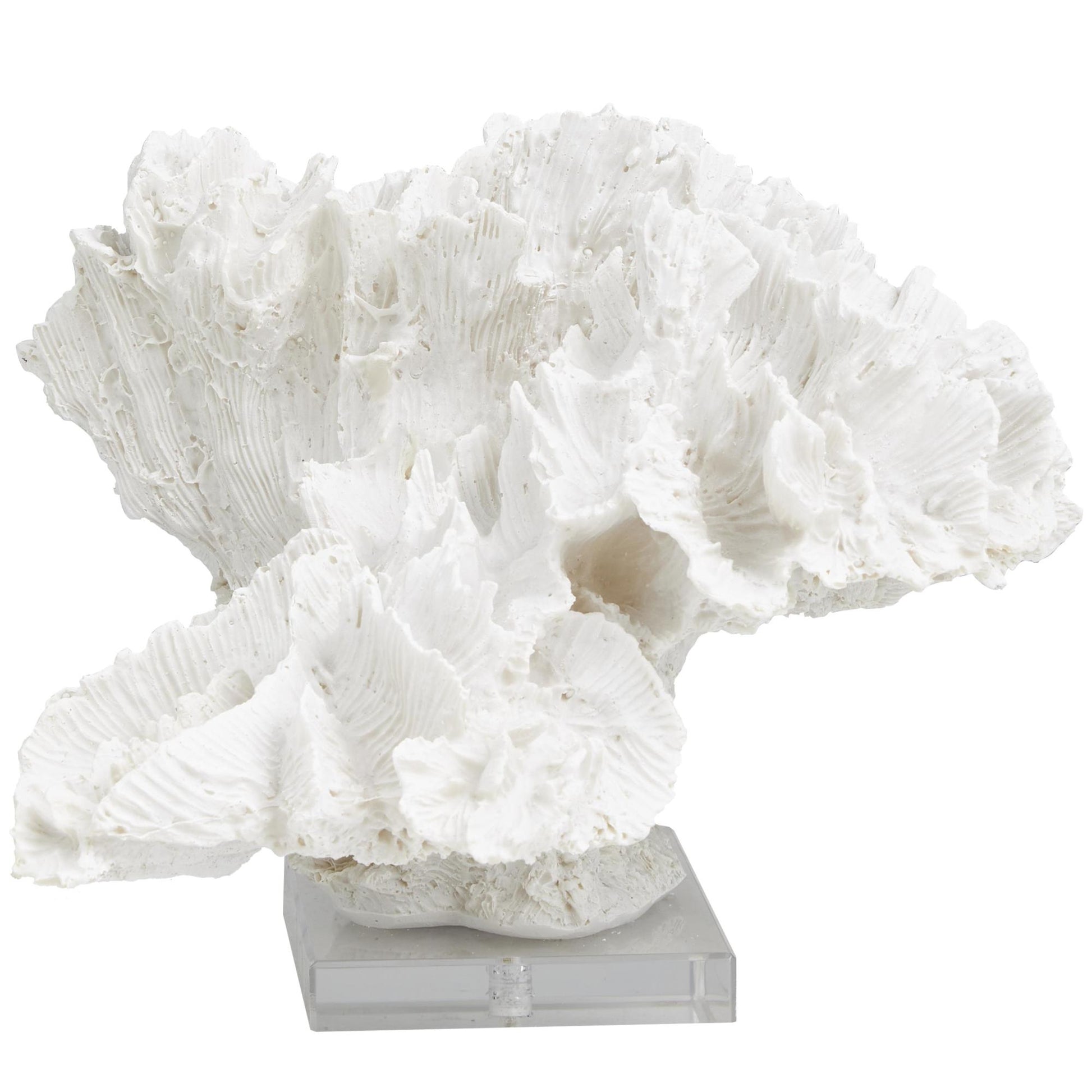 Coral White Polystone Textured Decorative Sculpture with Clear Acrylic Base