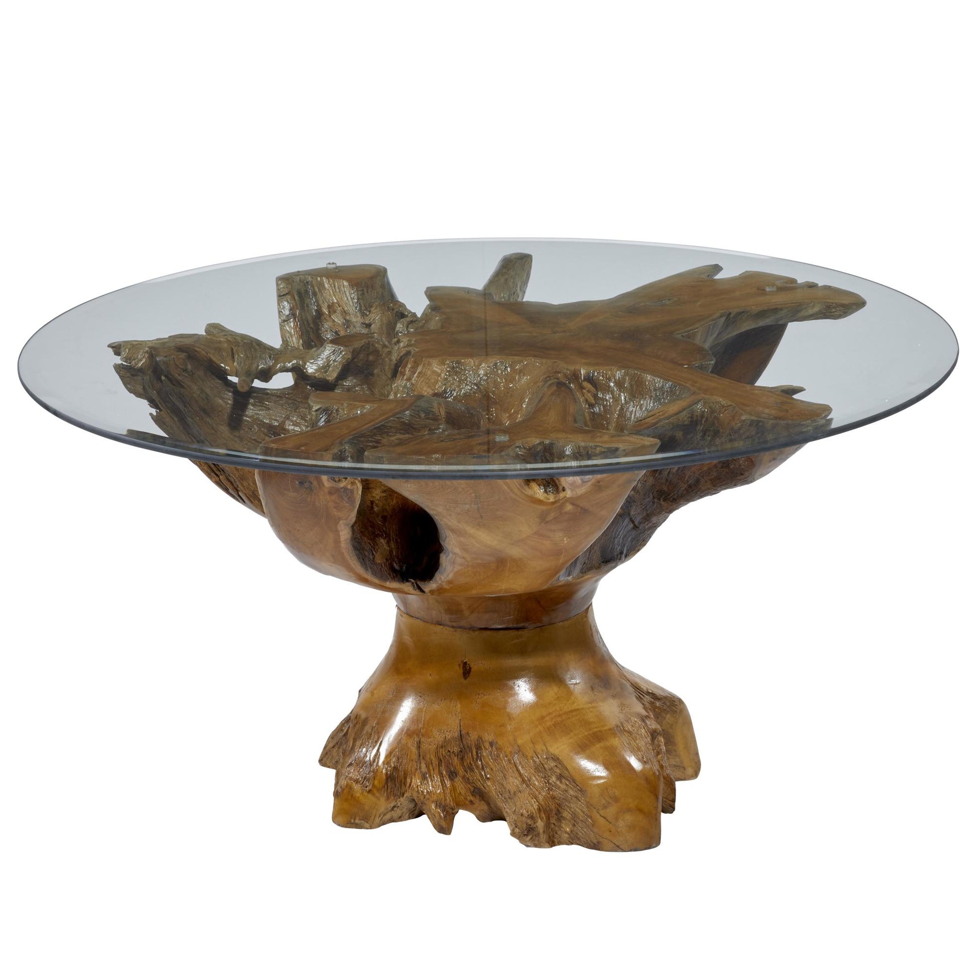 Brown Teak Wood Handmade Live Edge Tree Stump Living Room Coffee Table with Clear Glass Top