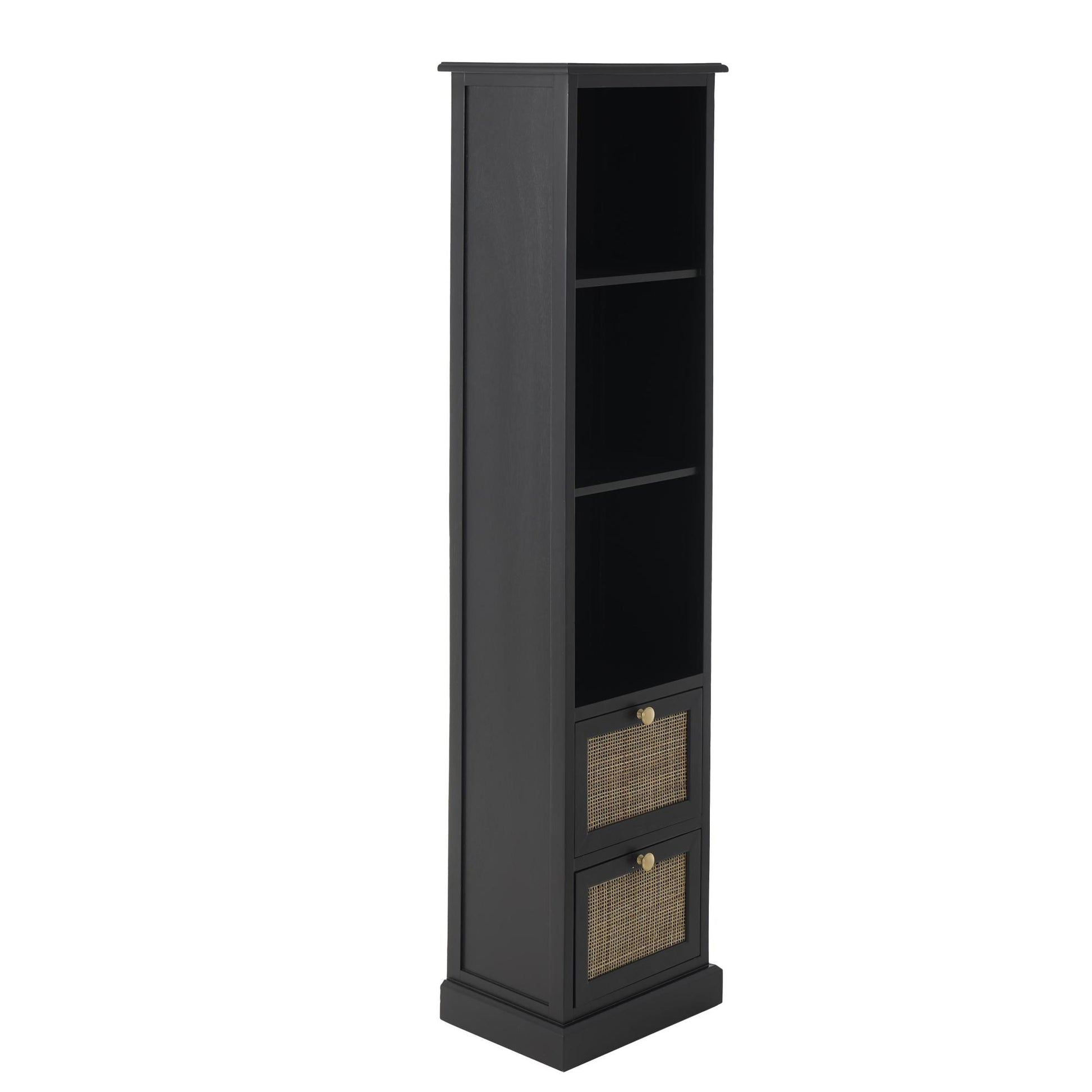 Black Wood 2 Drawer and 3 Shelf Room Cabinet with Rattan Front