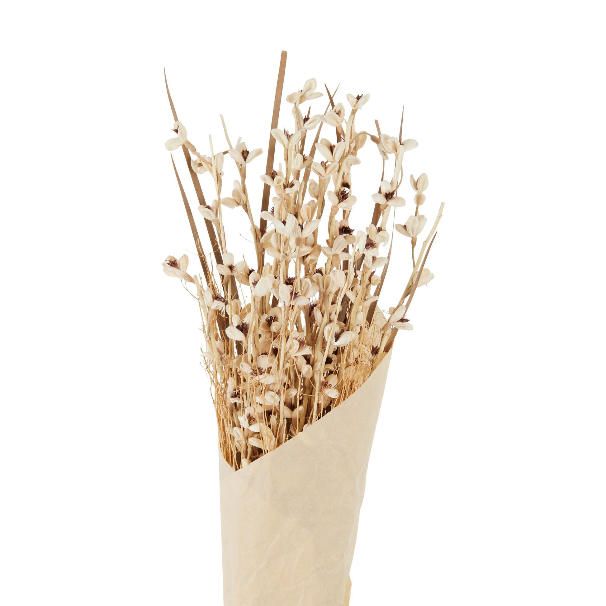 Dried Plant Tall Floral Bouquet Home Decor Natural Foliage with Brown Stems