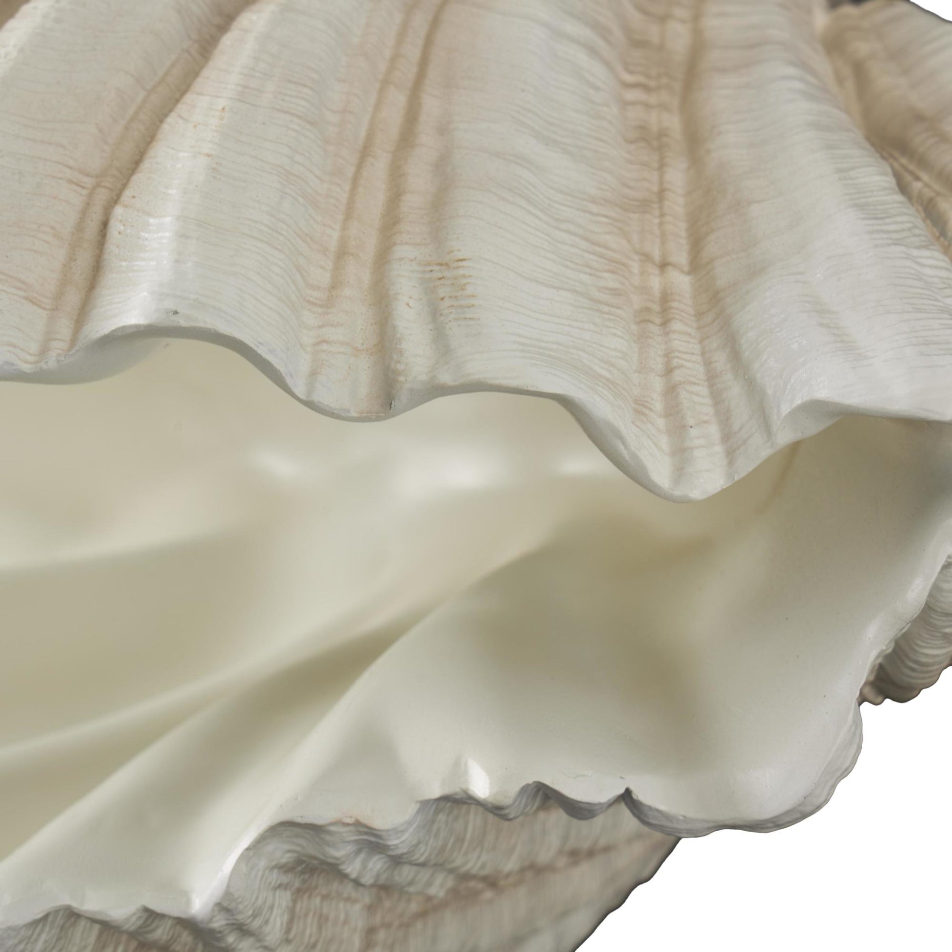 Shell Cream Resin Textured Decorative Sculpture