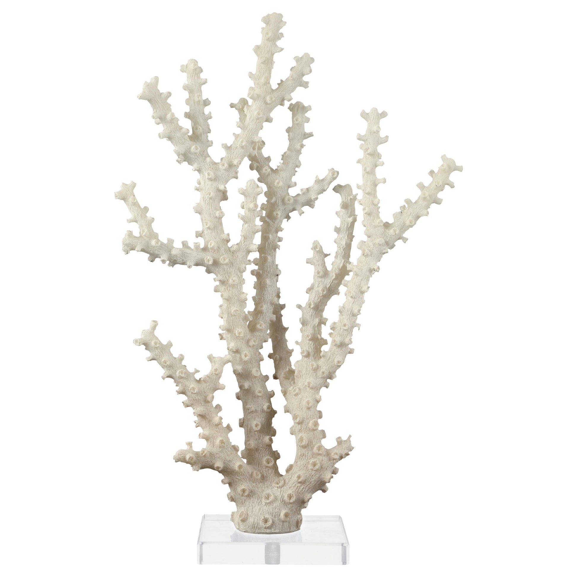 Coral Cream Polystone Decorative Sculpture with Clear Acrylic Base