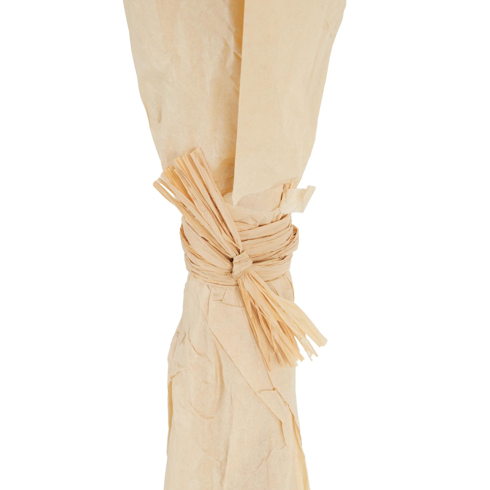 Dried Plant Tall Floral Bouquet Home Decor Natural Foliage with Brown Stems