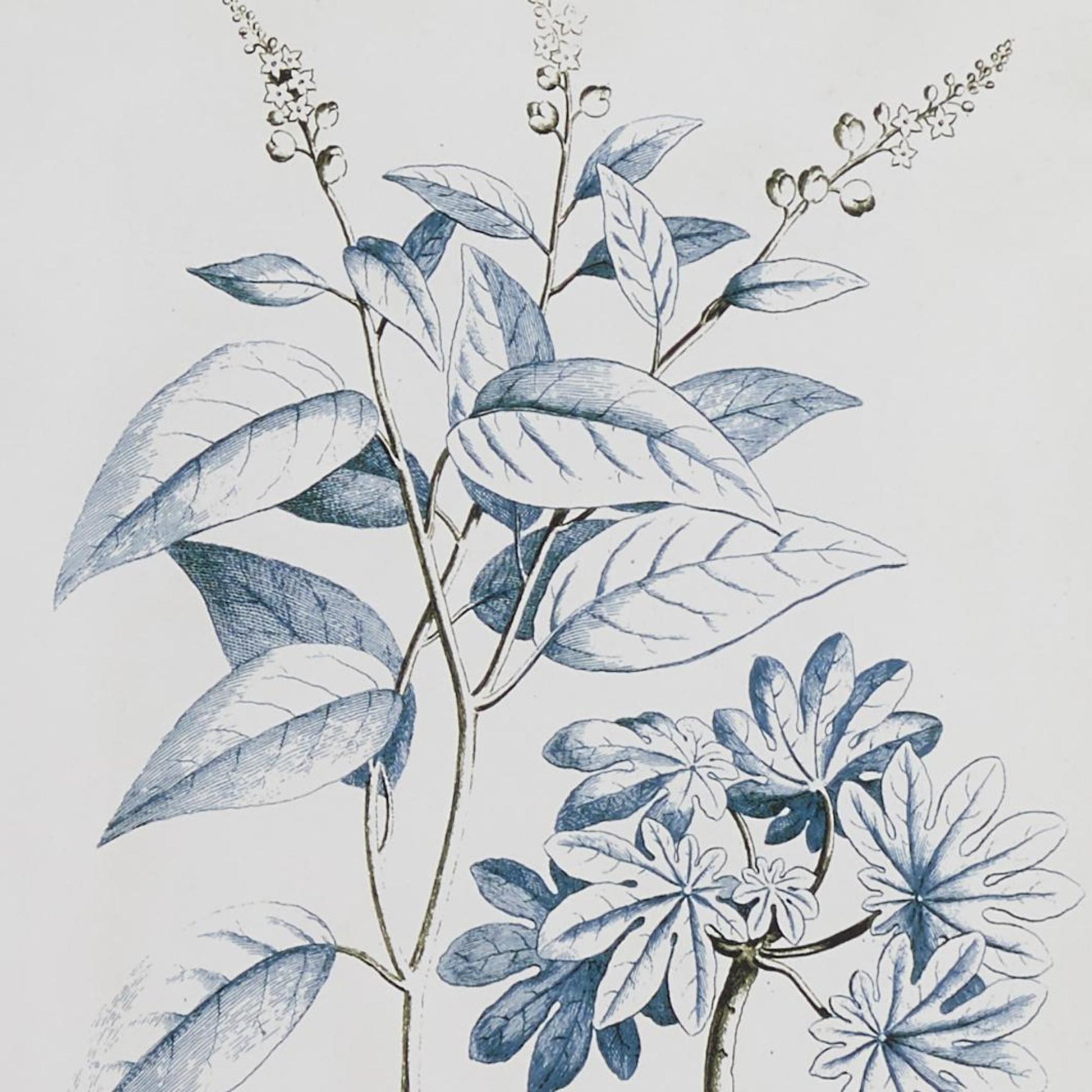 Set of 2 Floral Blue Wood Home Shadow Box with Black and Gold Frame