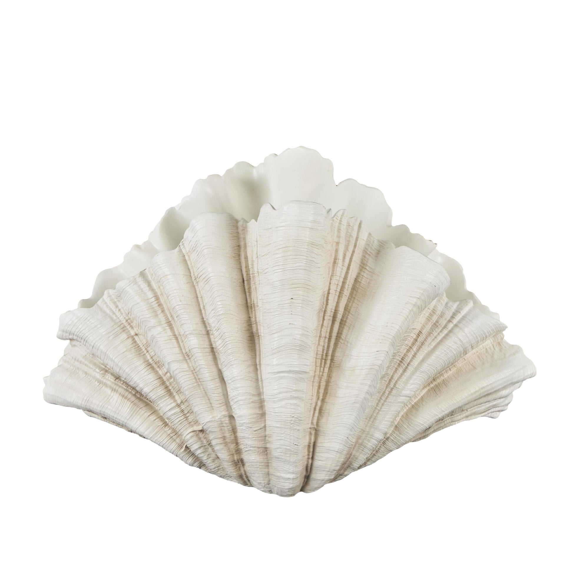Shell Cream Resin Textured Decorative Sculpture
