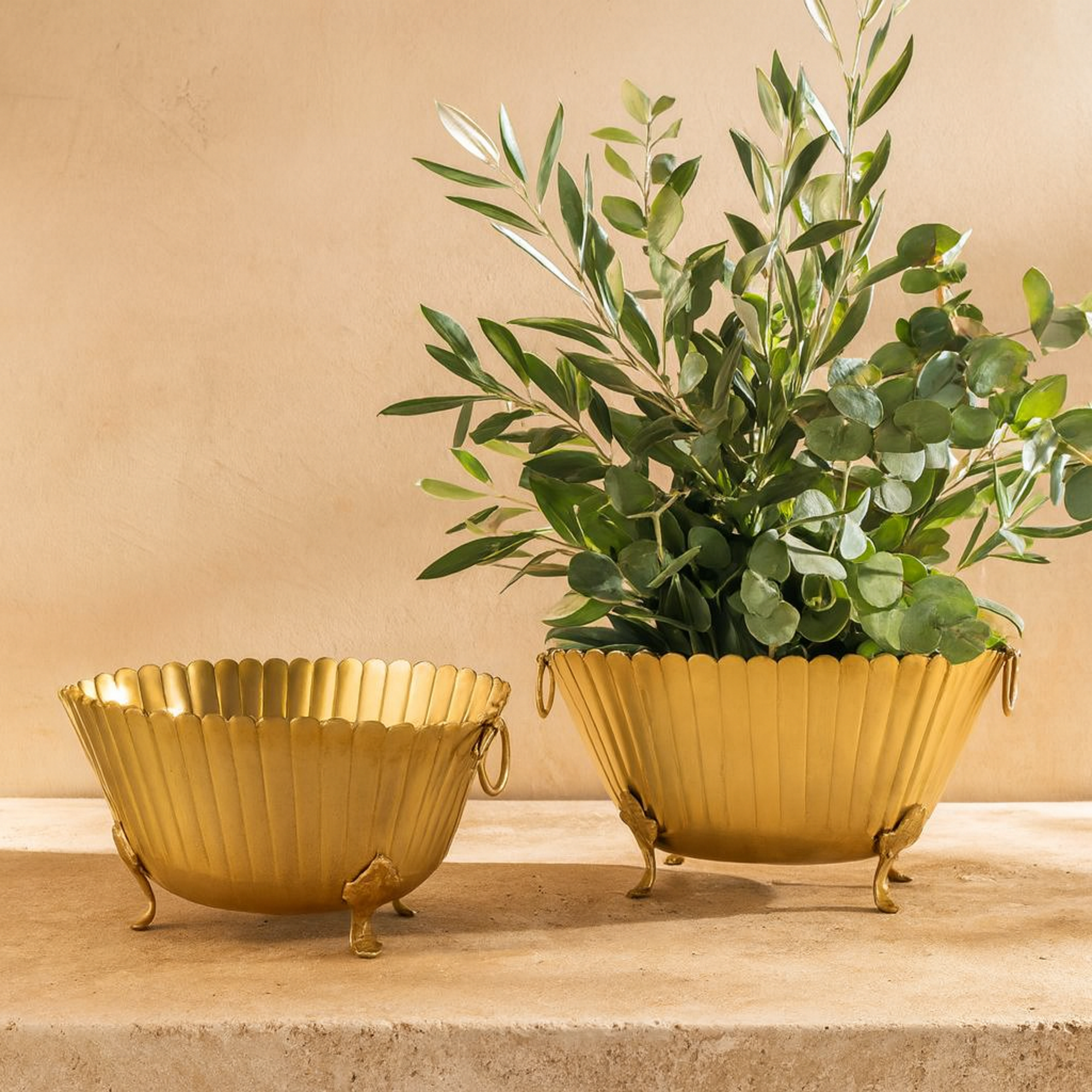 Set of 2 Gold Metal Indoor Outdoor Planter with Ring Handles
