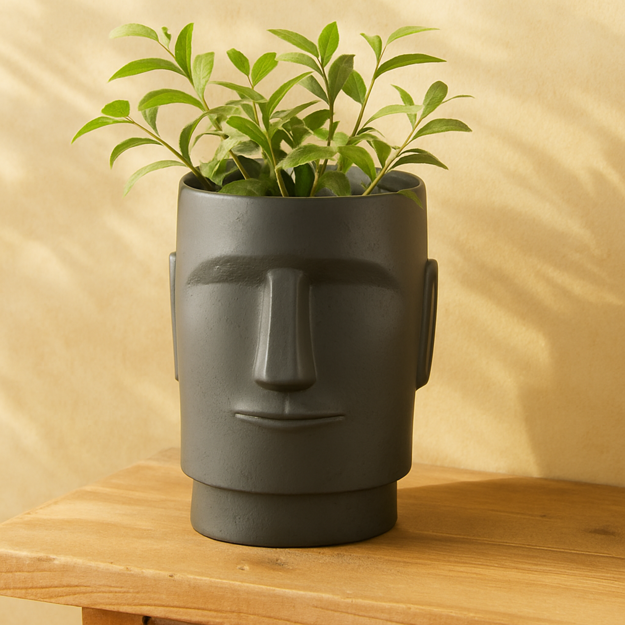 Face Magnesium Oxide Easter Island Indoor Outdoor Planter