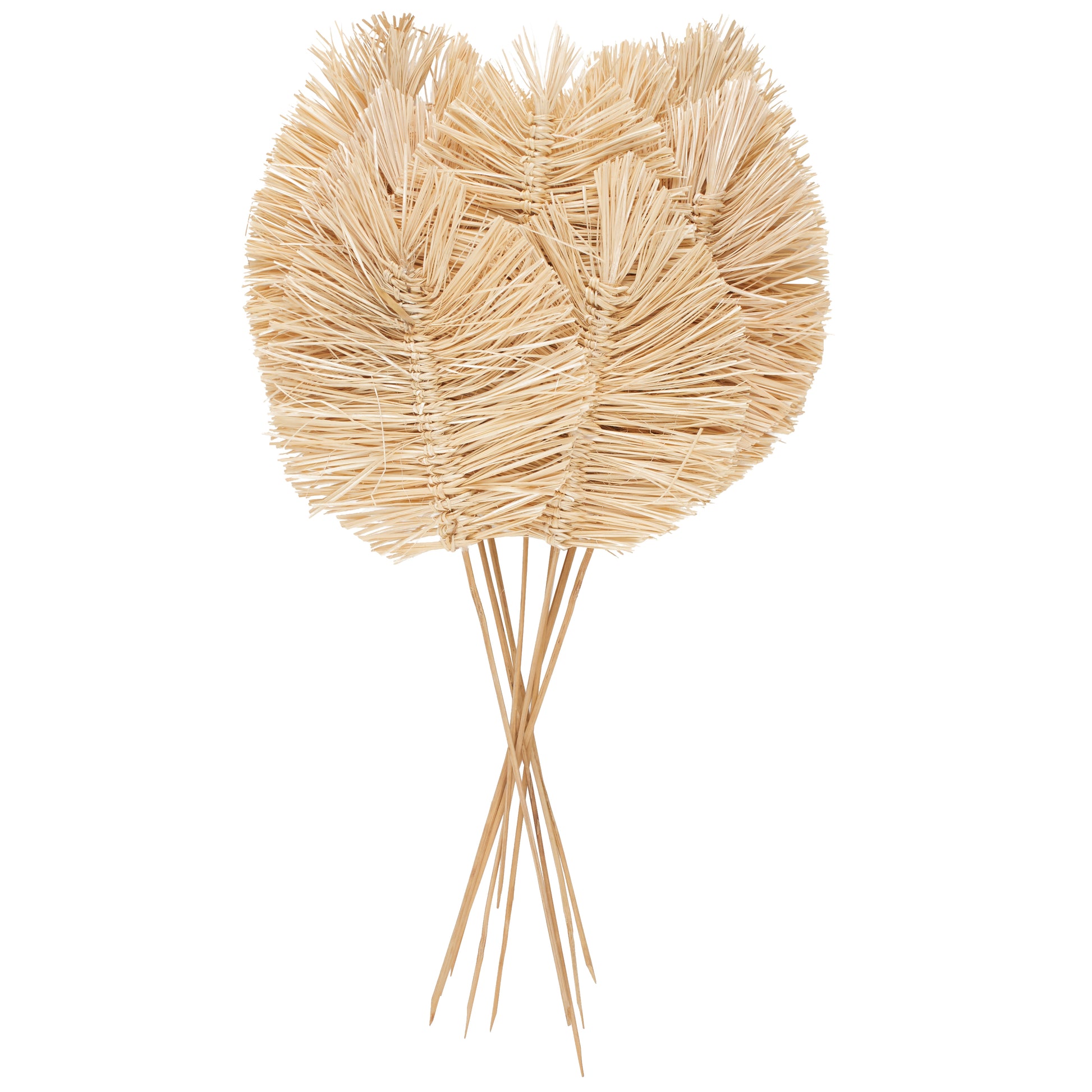 Leaf Dried Plant Tall Spear Home Decor Natural Foliage with Sharp Stems