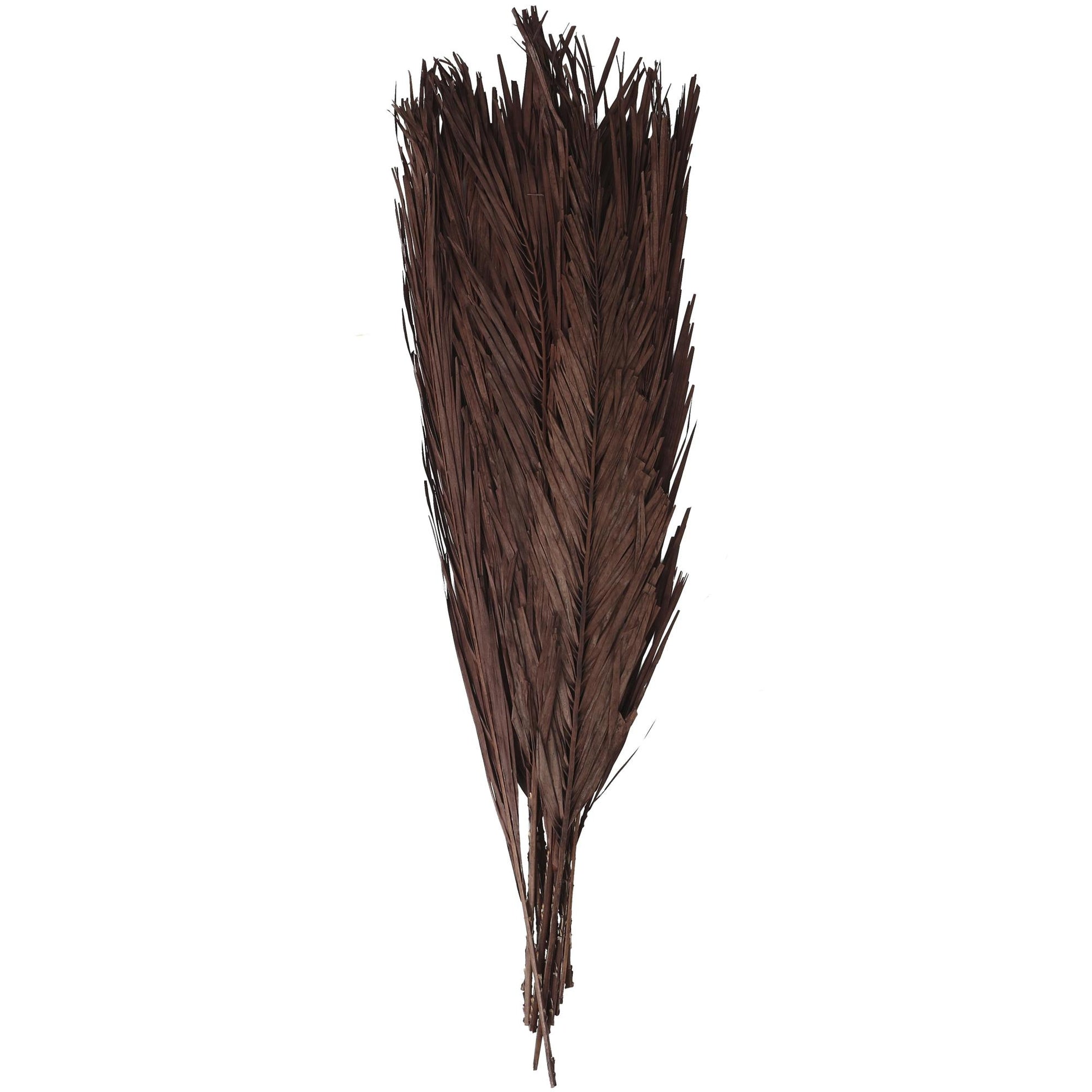 Palm Leaf Dried Plant Tall Home Decor Natural Foliage with Grass and Feather Inspired Stems