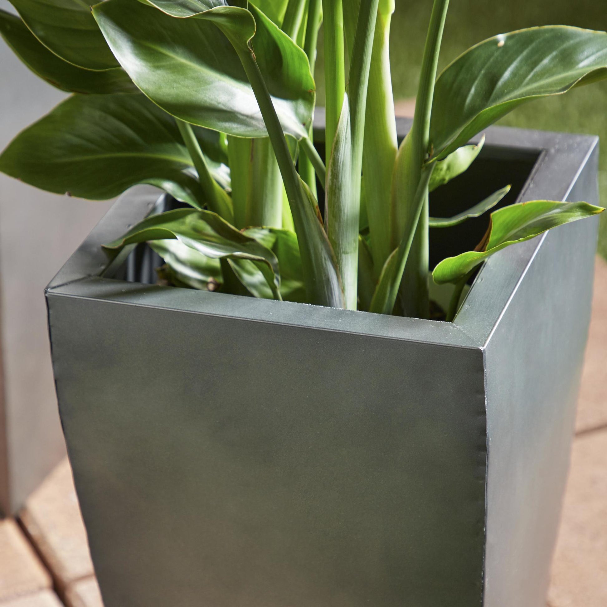 Set of 3 Metal Light Weight Indoor Outdoor Planter with Tapered Base