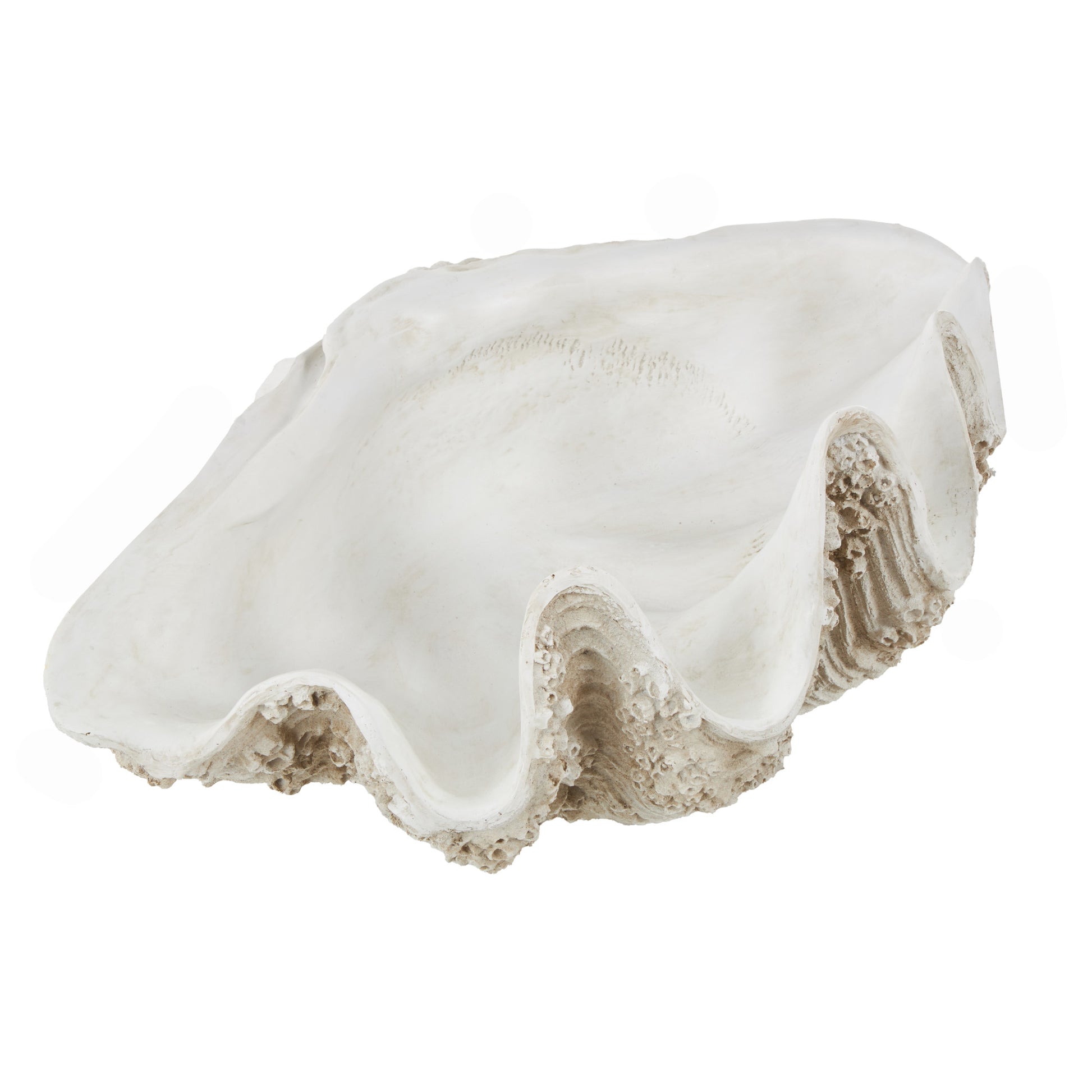 Shell White Polystone Large Textured Decorative Sculpture