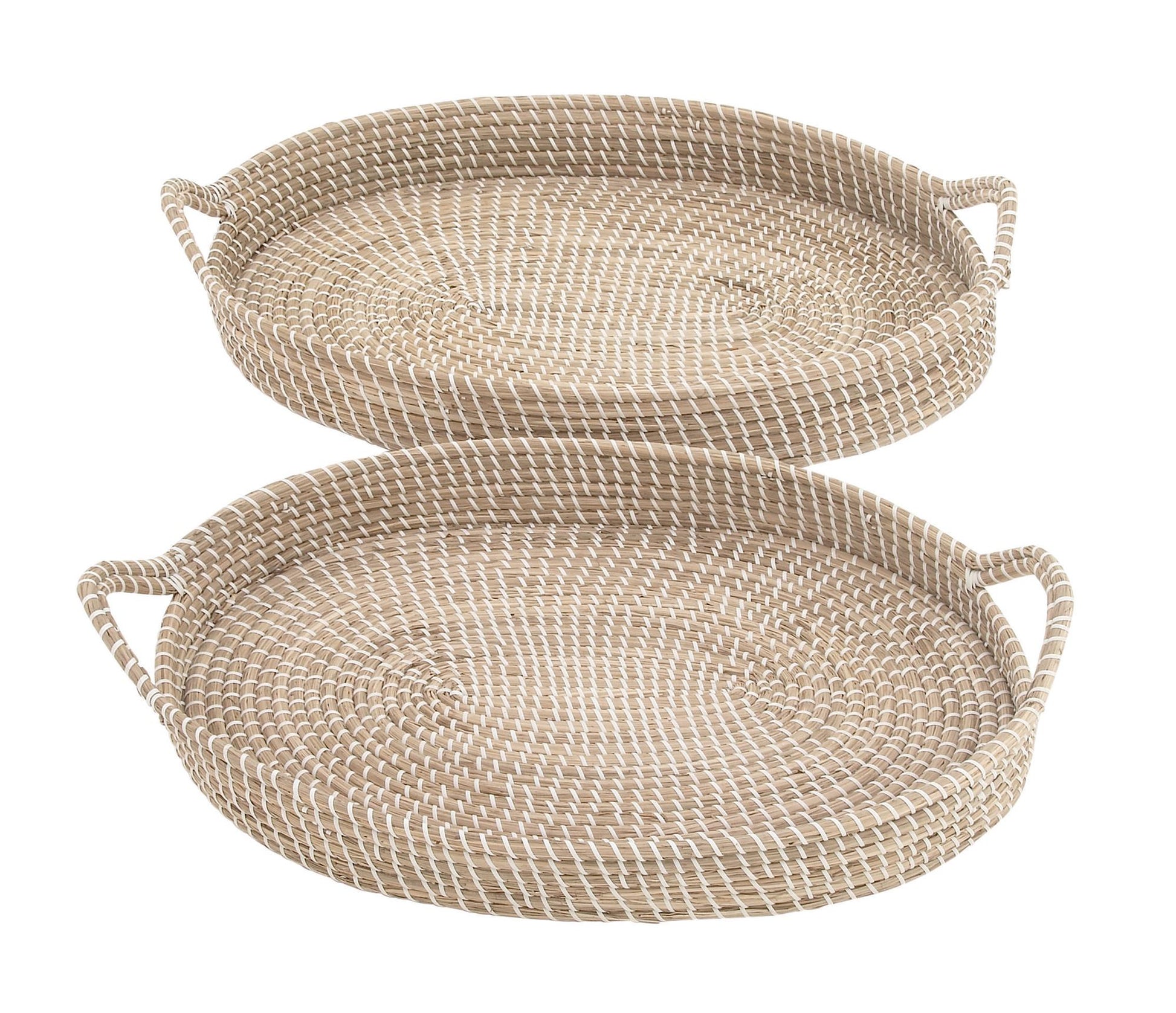 Set of 2 Brown Dried Plant Handmade Living Room Decor Tray with Metal Rim