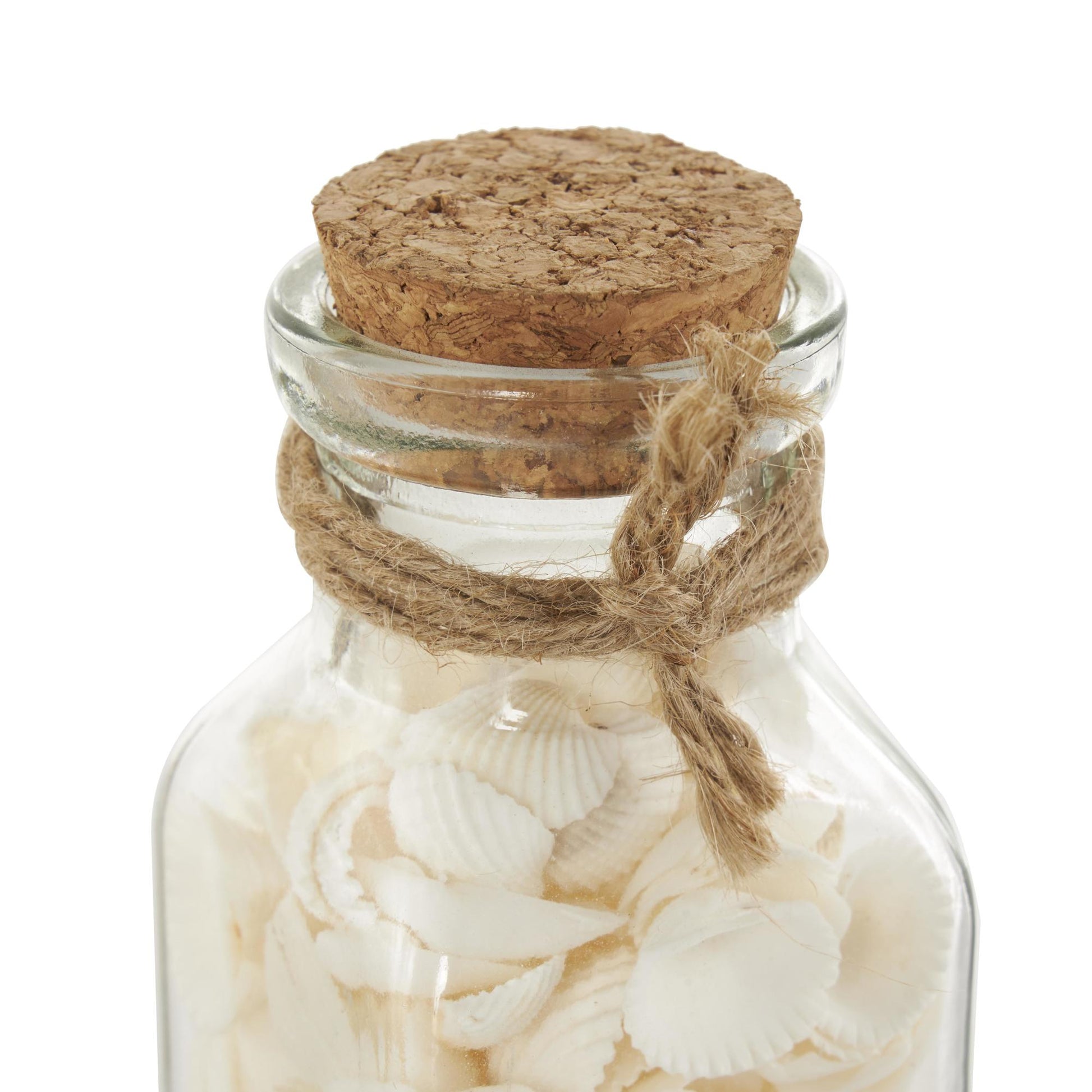 Set of 3 Clear Glass Decorative Orbs & Vase Filler with Seashells and Jute Rope Accents