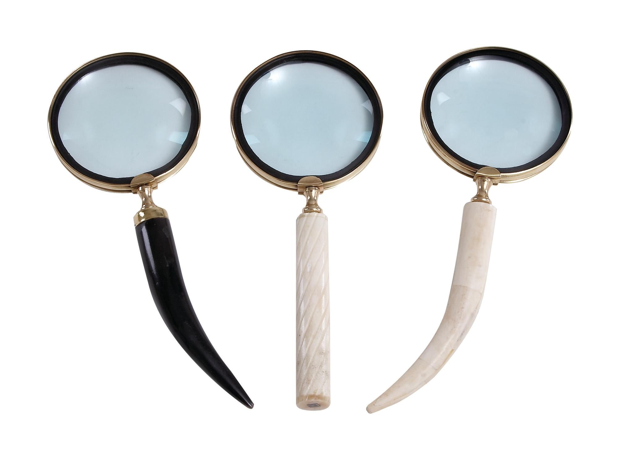 CosmoLiving by Cosmopolitan Set of 3 Black Metal Decorative Magnifying Glass with Bone Handles