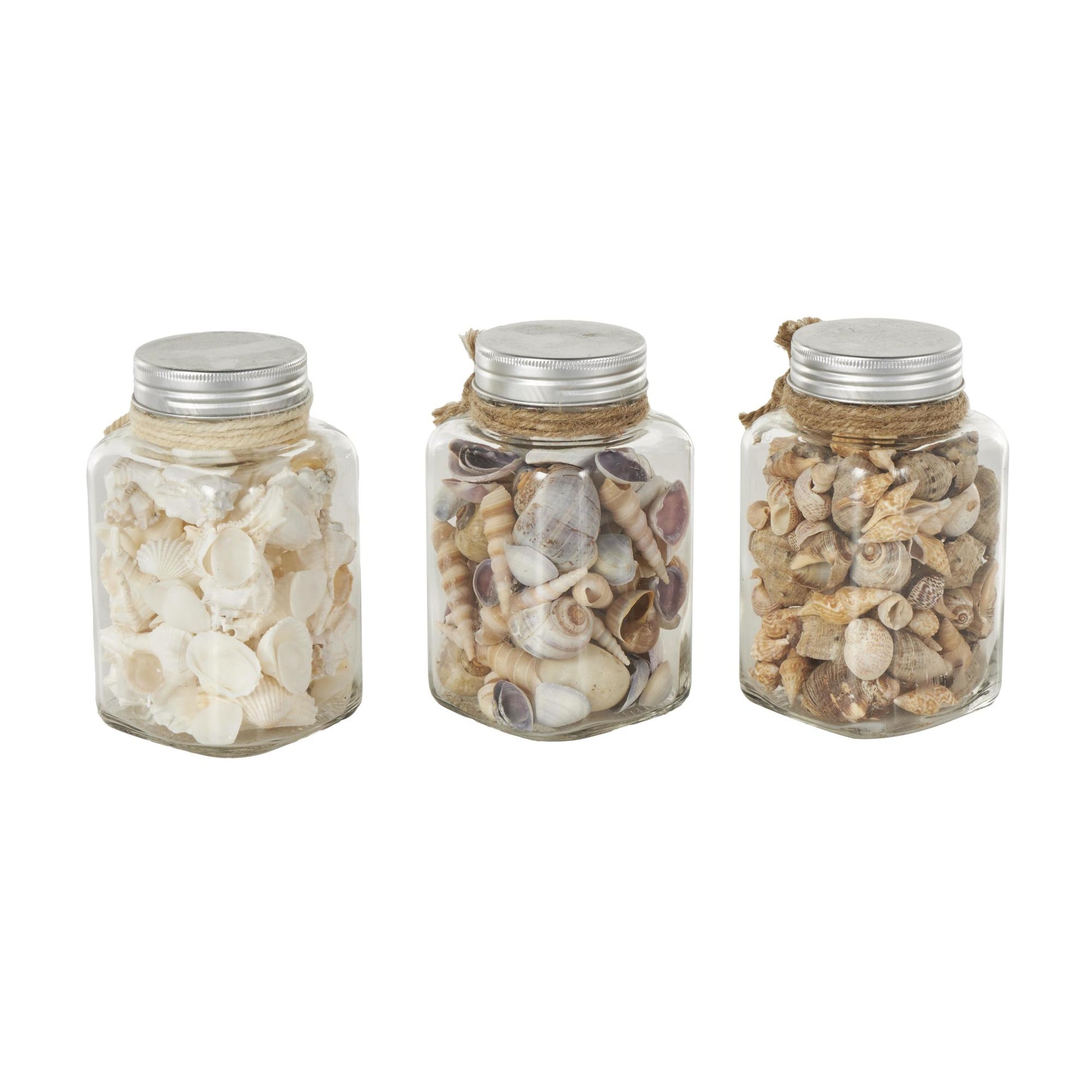 Set of 3 Clear Glass Decorative Orbs & Vase Filler with Seashells and Jute Rope Accents