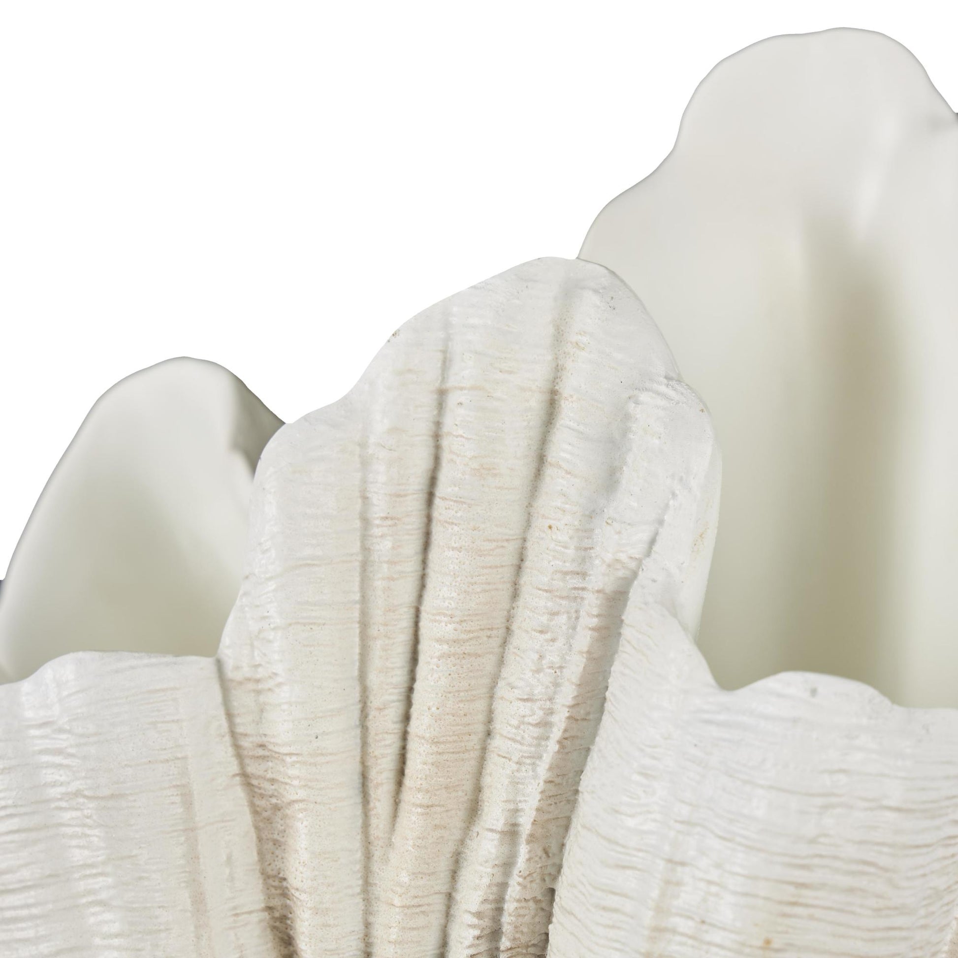 Shell Cream Resin Textured Decorative Sculpture