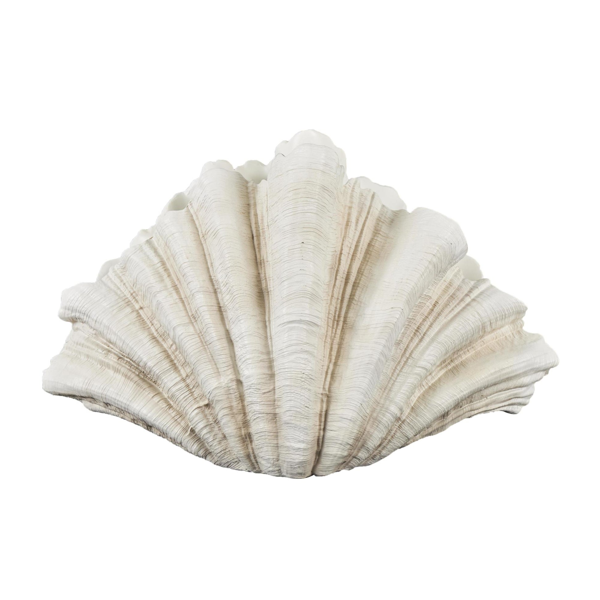 Shell Cream Resin Textured Decorative Sculpture